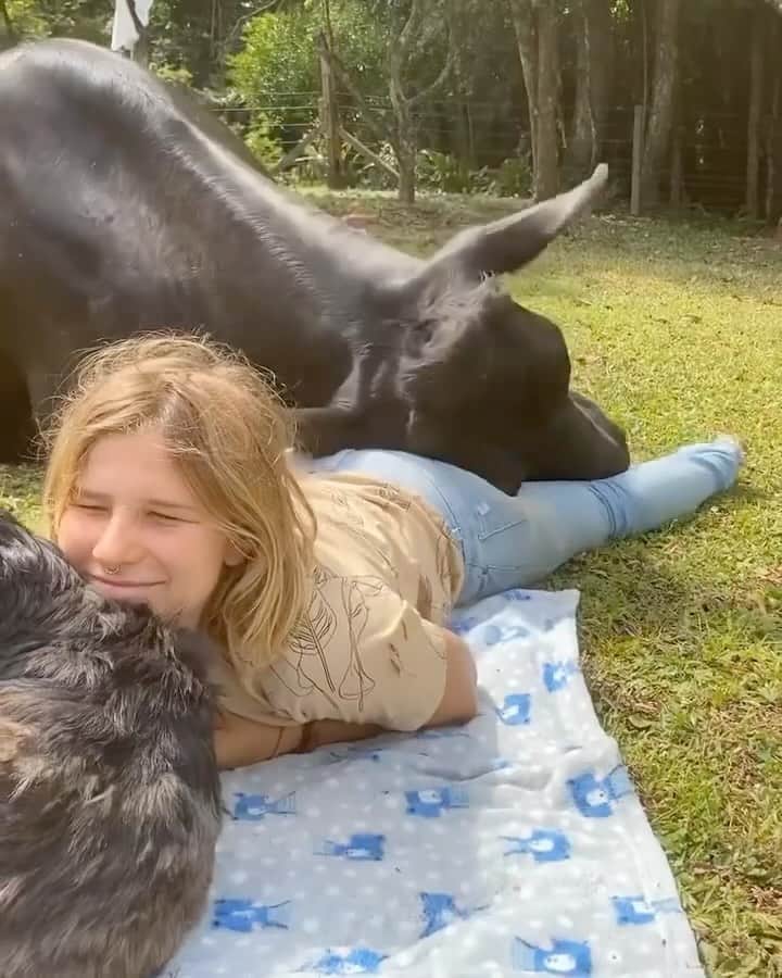 アリシア・シルヴァーストーンのインスタグラム：「I want that cow to cuddle me! I wish my dog would do that to me. Pinto is so stuck up. 😂🤷🏼‍♀️  📸 @santuarioamorquesalva」