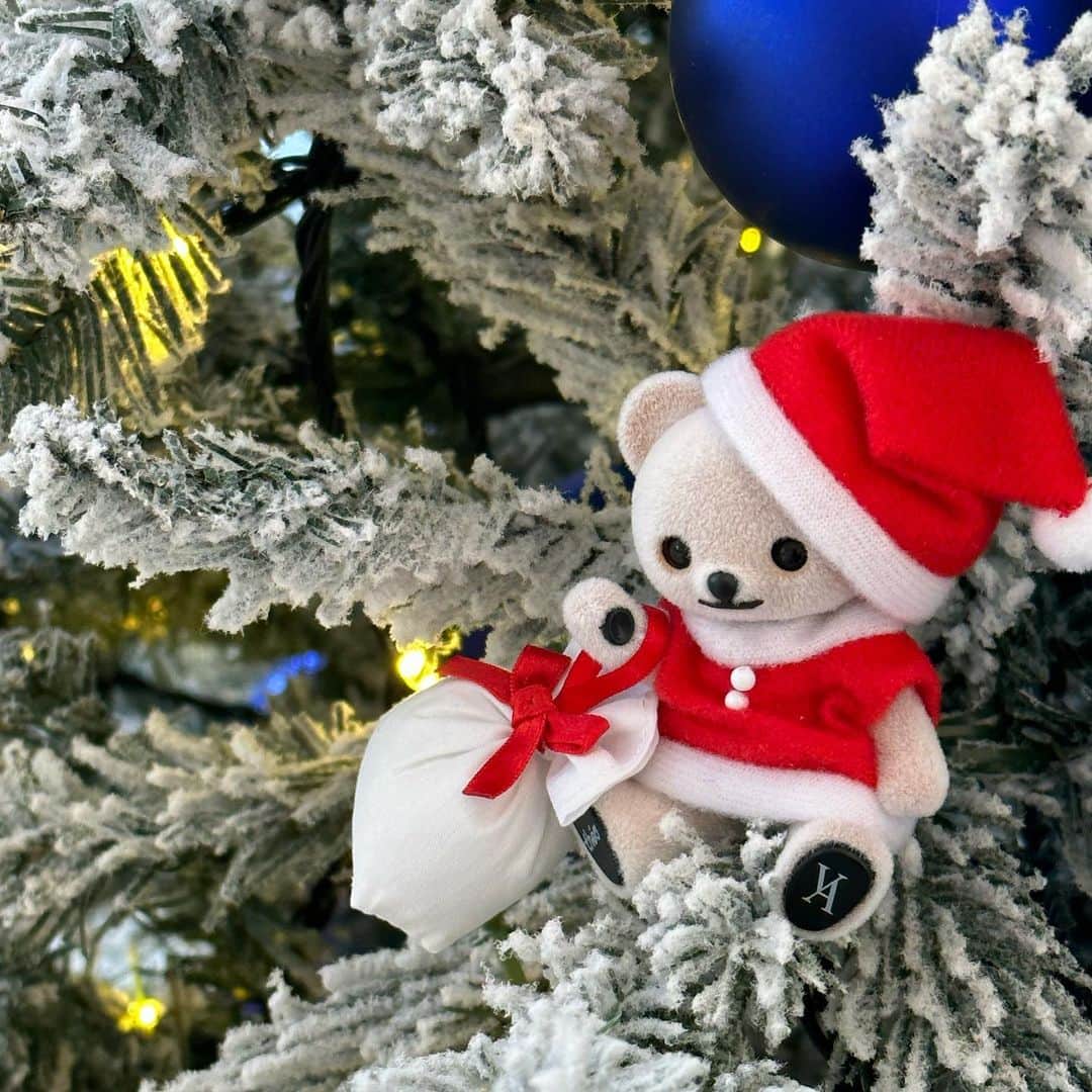 ヴァンドーム青山さんのインスタグラム写真 - (ヴァンドーム青山Instagram)「. ヴァンドーム青山本店 Christmas Fair 2023 12.9 sat. - 25 mon  ヴァンドーム青山本店では12月9日〜12月25日までクリスマスフェアを開催いたします。 日頃の感謝を込めてお客様全員にクリスマスプレゼントをご用意いたしました。 是非この機会にお越しください。  ＿＿＿＿＿＿＿  フェア期間中、お買い上げ金額に応じて青山本店だけの特別なノベルティもご用意しております。  〈ノベルティ詳細〉 ＊スパークリングワイン：税込110,000円以上お買い上げ ＊ドライフルーツティー：税込55,000円以上お買い上げ ＊期間中ご来店いただいた方へ先着で「くまのテオくんキャンディ」を差し上げます。  ※青山本店のみのサービスとなります。 ※プレゼントには数に限りがございます。 ※詳しくはスタッフにお問い合わせください。 ＿＿＿＿＿＿＿  【 ヴァンドーム青山本店 】 住所：東京都港区南青山5-12-1 TEL：03-3409-2355 営業時間：11:00～20:00 ※表参道駅B3出口徒歩5分  （年末年始営業日） 12/30(土) 11:00 ～ 18:00 12/31(日) ～ 1/3(水) 店休日 1/4(木)より通常営業  #ヴァンドーム青山 #vendomeaoyama #ヴァンドーム青山本店 #クリスマスフェア #christmas #クリスマス #クリスマスプレゼント #クリスマスギフト  #jewelry #accessories  #表参道 #青山 #骨董通り #ジュエリーショップ  #お守りジュエリー  #ご褒美ジュエリー  #クリスマスジュエリー」12月7日 18時14分 - vendomeaoyama_official