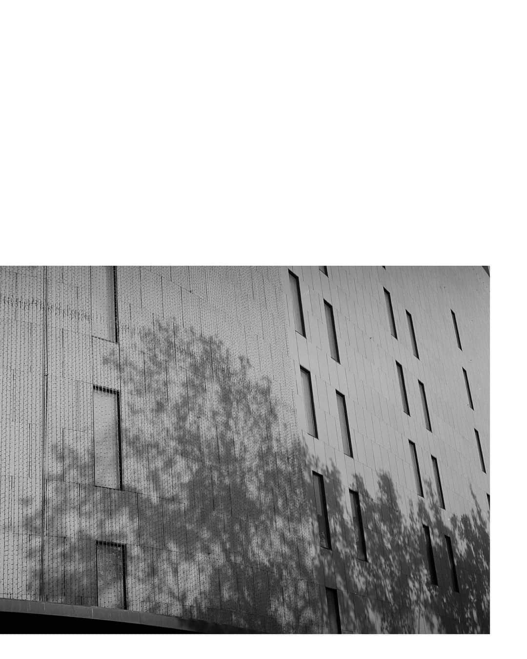 市川渚さんのインスタグラム写真 - (市川渚Instagram)「. . monochrome  #leicam3 #summicron50 #ilfordxp2 #filmphotography」12月7日 18時15分 - nagiko