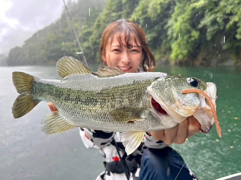 高本采実のインスタグラム：「🎣 8月ラストの池原ダム！  終始雨模様でしたが数とサイズはえぇ感じでした。 最近得意になりつつある(?)ネコリグをメインに次々とキャッチ！ フッキング決まった後のファイト動画をお楽しみください(笑)  山の空気も気持ちいい！⛰️ みんな、奥深くておもしろいバス釣りはええぞ〜！  🎣 ホワイトリバー @white_river_ikehara   . . . .  #ブラックバス #バスボート #blackbass #bassfishing #バス釣り #池原ダム #ホワイトリバー #滝 #バス釣り修行中 #釣り動画 #ドラグ音 #大物ハンター #アングラー #fishinggirl #钓鱼 #高本采実 #あやみん #ayamistagram」