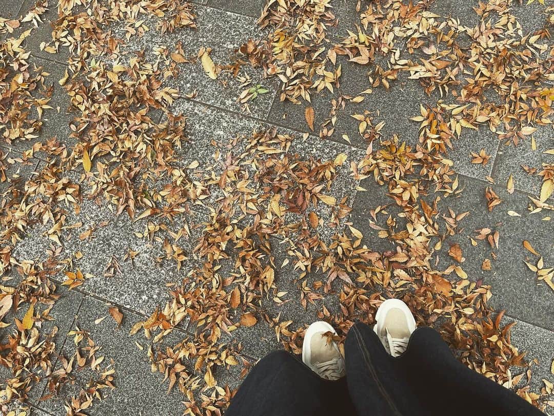 大湖せしるのインスタグラム