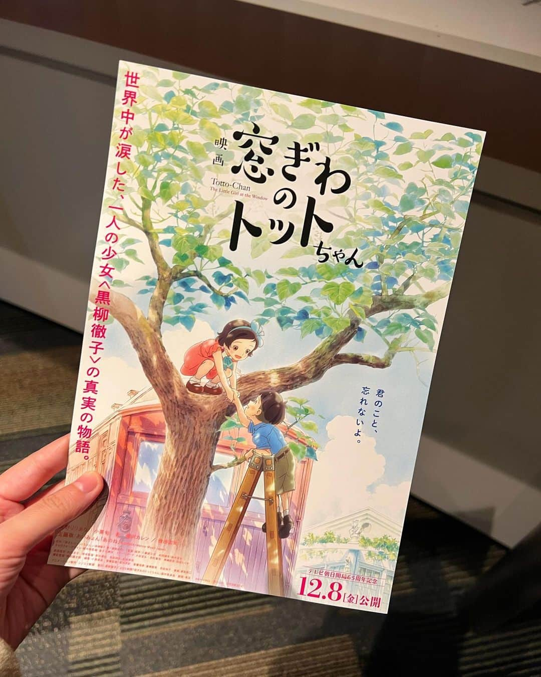 加藤一華さんのインスタグラム写真 - (加藤一華Instagram)「. 映画「窓ぎわのトットちゃん」 試写会にご招待いただきまして ひと足先に観てきました！🎬  私たちがイベントでも 読み聞かせしていた本が原作です✨  天真爛漫なトットちゃんの コロコロ変わる声色や表情が ほんっとうに可愛くて愛おしかったなぁ☺️  そして色彩がとってもきれいなんです…。 映像や、音、静けさ。 映画ならでは楽しみ方ができて、 大人も子供も楽しめると思いました✨  終わった後に、誰かと話したくなる お気に入りのシーンがいっぱいで 語り尽くせません。🚃🌳☂️笑  トモエ学園の子供たちが本当に楽しそうで いろんなしあわせの形を見つけられます😌🌈 今を生きる私たちの心に響く作品でした。  そして変わっていく暮らしの流れが すっと私の中に入ってきて、、、。 気付いたら涙が止まらなくなっていました。  2023年12月8日(金)より 全国ロードショーです🎬 ぜひ劇場でご覧ください！  (みんなのお気に入りシーンもぜひ教えてね！✨)  #PR #窓ぎわのトットちゃん #映画」12月7日 17時05分 - ichika_kato