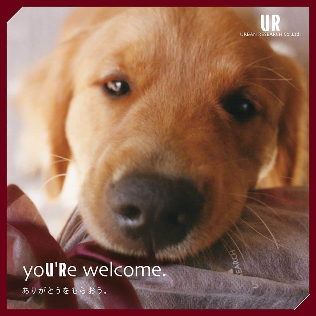 センスオブプレイスのインスタグラム：「yoU’Re welcome ありがとうをもらおう  いよいよ、クリスマスが近づいてきましたね🎅 URBAN RESEARCHでは、心温まるホリデーキャンペーンスペシャルコンテンツが絶賛公開中です。本来は贈る人しか見られない、贈られた人の表情を切り取り、「自分も大切な人にプレゼントを贈ろう」「身近な大切な人が喜ぶ顔を、自然と思い浮かべてしまう」そんなサプライズで撮影されたムービーや写真と共にホリデーシーズンを盛り上げます。 今年のギフトは「URBAN RESEARCHで」 皆様の素敵なホリデーをお手伝いさせて頂きます🎁  ❄ラッピング・ギフトBOX 無料 アーバンリサーチグループの各店舗並びに自社ECサイトでは、ホリデーキャンペーン 期間中ラッピング・ギフトBOXを無料で承ります。 実施期間：11月17日 (金) 〜 12月25日 (月)  #ur_welcome  #ありがとうをもらおう #holiday #ギフト#urbanresearch  #senseofplace_ur #senseofplacebyurbanresearch #センスオブプレイス #センスオブプレイスバイアーバンリサーチ #アーバンリサーチ」