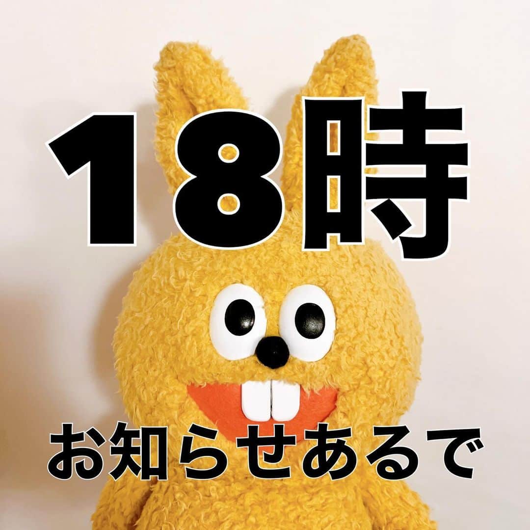 たぬきゅんのインスタグラム：「あるで！」