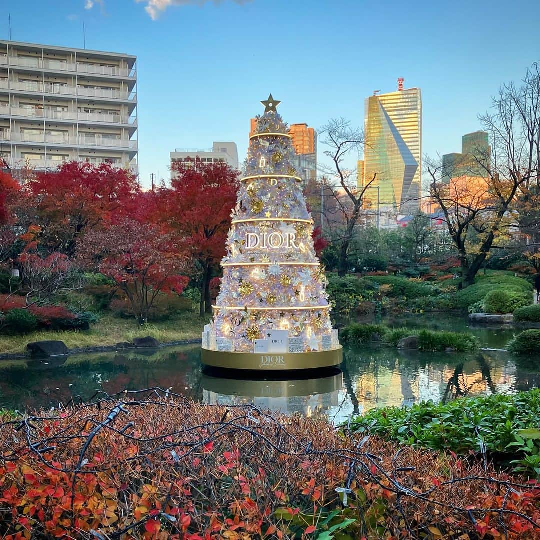 田中香子のインスタグラム：「オーディション帰りに、 ギロッポンで遊んじゃう。 紅葉の日本庭園に キラキラDiorクリスマスツリー。  #Dior #christiandior  #roppongi #roppongihills」