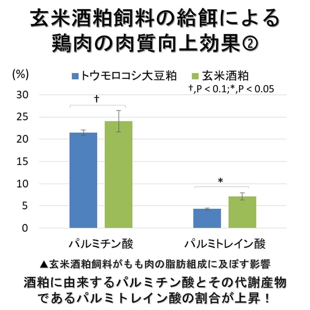 白鶴酒造株式会社さんのインスタグラム写真 - (白鶴酒造株式会社Instagram)「🐔 【酒粕飼料で鶏肉の風味アップ！】 神戸大学と白鶴は、鶏に与える飼料を 輸入飼料から国産の酒粕に置き換えることで、 鶏肉の味わいが向上することを明らかにしました。 今後は国産鶏肉の付加価値向上による ブランド化について、具体的な検討を進めていきます。  ▼玄米と酒粕を配合した飼料（玄米酒粕飼料）の給餌による鶏肉の肉質向上効果 ①風味全体の強さ、鶏肉らしい風味、風味の総合評価が向上（参照：図1） ②酒粕に由来するパルミチン酸とその代謝産物であるパルミトレイン酸の割合が上昇（参照：図2） 　［脂肪酸が低分子化・不飽和化していることとなり、鶏肉の食味向上に寄与している可能性がある。］  ▼詳細はこちら（5枚目　QRコード） https://www.hakutsuru.co.jp/corporate/news/detail/20231204104607.html  #日本酒 #白鶴 #hakutsuru #sake」12月7日 17時28分 - hakutsuru_official