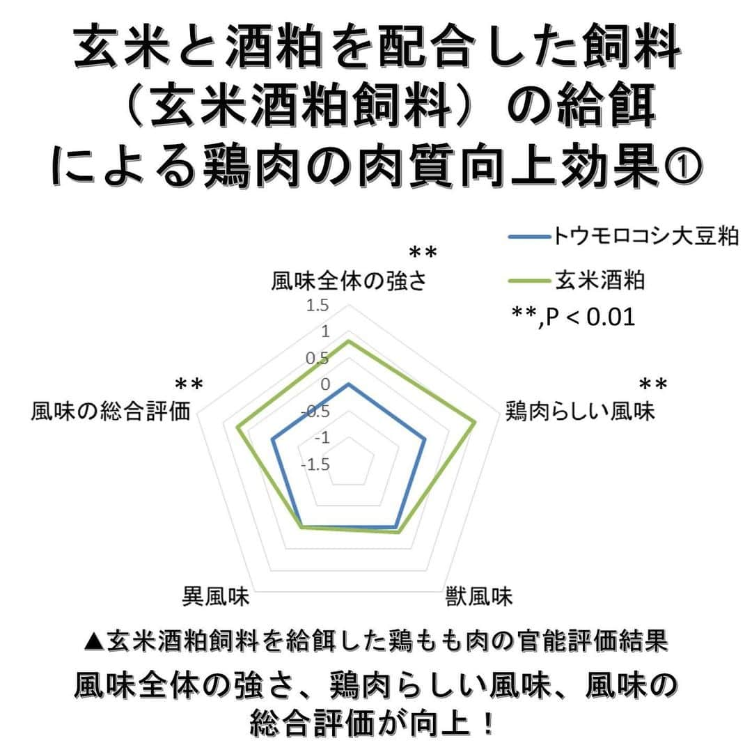 白鶴酒造株式会社さんのインスタグラム写真 - (白鶴酒造株式会社Instagram)「🐔 【酒粕飼料で鶏肉の風味アップ！】 神戸大学と白鶴は、鶏に与える飼料を 輸入飼料から国産の酒粕に置き換えることで、 鶏肉の味わいが向上することを明らかにしました。 今後は国産鶏肉の付加価値向上による ブランド化について、具体的な検討を進めていきます。  ▼玄米と酒粕を配合した飼料（玄米酒粕飼料）の給餌による鶏肉の肉質向上効果 ①風味全体の強さ、鶏肉らしい風味、風味の総合評価が向上（参照：図1） ②酒粕に由来するパルミチン酸とその代謝産物であるパルミトレイン酸の割合が上昇（参照：図2） 　［脂肪酸が低分子化・不飽和化していることとなり、鶏肉の食味向上に寄与している可能性がある。］  ▼詳細はこちら（5枚目　QRコード） https://www.hakutsuru.co.jp/corporate/news/detail/20231204104607.html  #日本酒 #白鶴 #hakutsuru #sake」12月7日 17時28分 - hakutsuru_official
