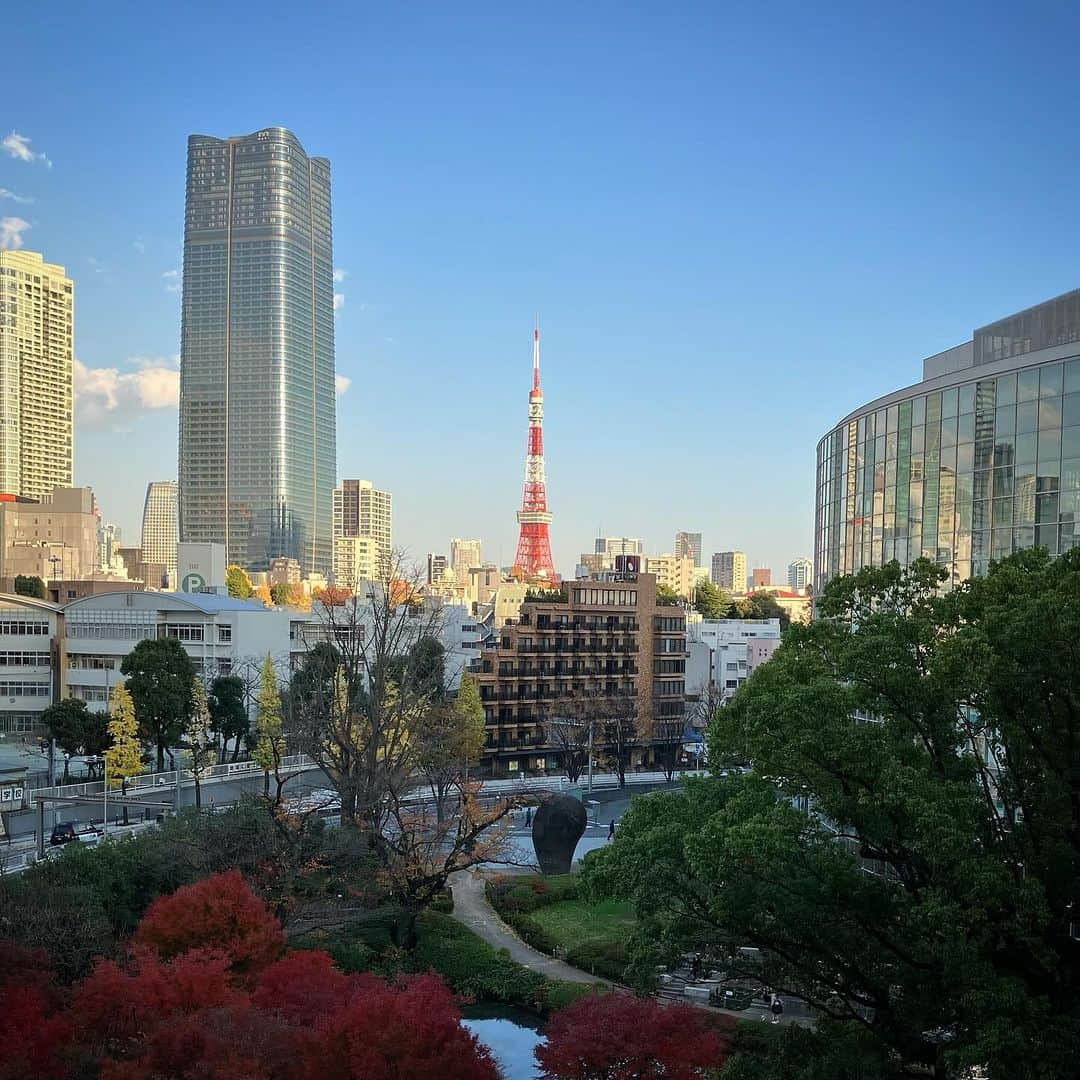 田中香子のインスタグラム：「ギロッポン来たときのお楽しみ🗼 やっぱり君がいちばん美しい♡  #東京タワー #tokyotower」