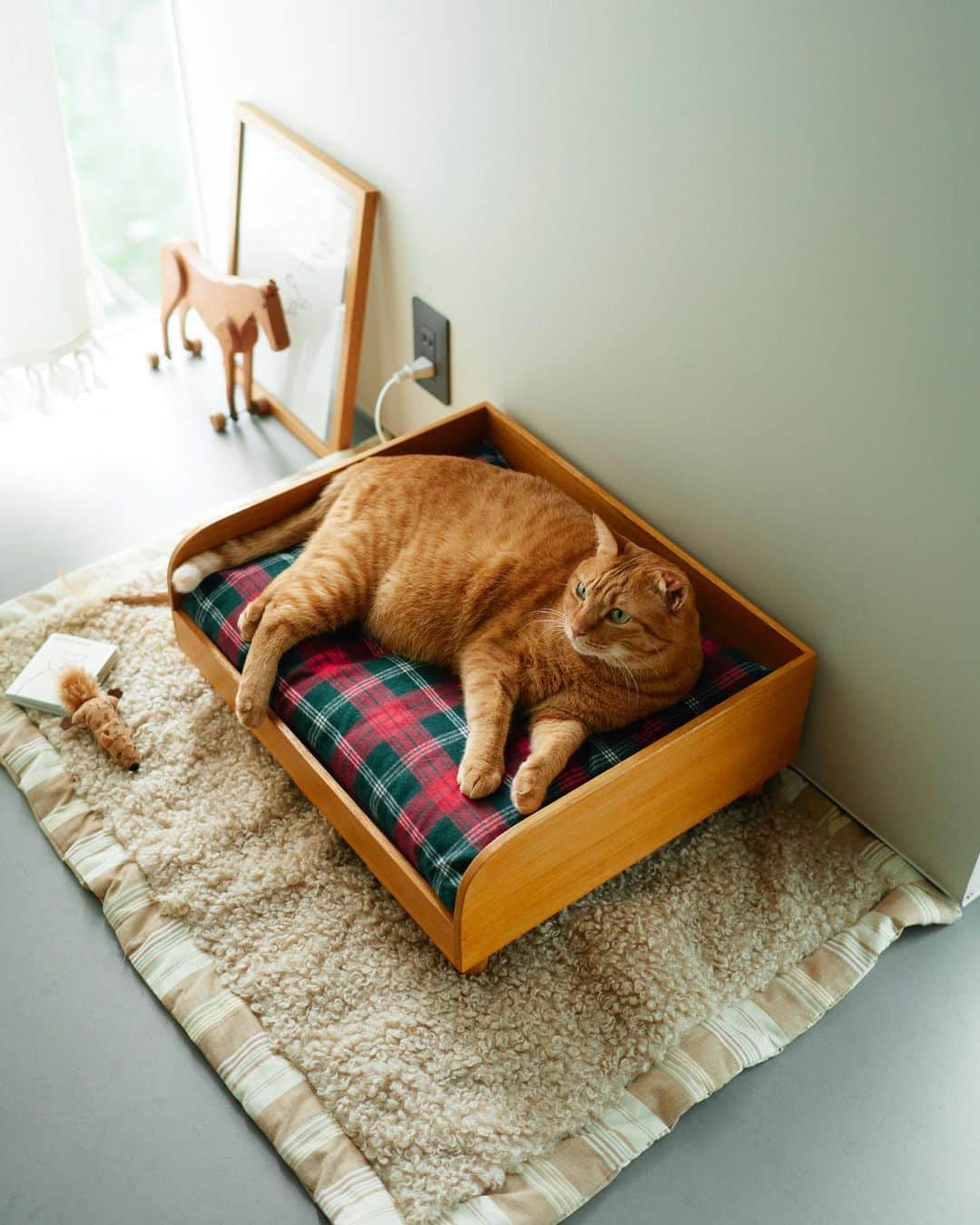 オルネ ド フォイユさんのインスタグラム写真 - (オルネ ド フォイユInstagram)「ネコちゃんポカポカ☁️桐のベッド🐾  本格的な寒さがやってきましたが、 お家のネコちゃんはぬくぬく過ごせていますか🐈？  オルネコオリジナルの桐のベッドは、 ホットカーペット（ペットヒーター）が仕込める 広めのサイズ！コードを通せる穴が、 温度調節リモコンを通る大きさなのもポイントです👆  ホットカーペットを使わないネコちゃんには 冬仕様の起毛生地で仕立てた、 桐のベッド用マットがおすすめ！ インテリアに合う、 3種類のチェック柄が揃っています🐈‍⬛  桐素材でとても軽く、移動や掃除もラクラク。 子猫から高齢猫まで長く使える、 シンプルで飽きのこないベーシックなデザインです。  . 商品名： オルネコ 桐のベッド オルネコ 桐のベッド用クッション ∟ブルー、グリーン、レッド、ホワイト  ※ホットマット（ペットヒーター）は付属していません。  ———————————————  ●商品詳細はプロフィールのリンクからご確認ください。 👉@ornedefeuilles  ※検索画面で「桐のベッド」でチェック🔎 ※オンラインショップと不動前店の取扱い商品は異なります。  ———————————————  #オルネコ #orneko #オルネコ部 #猫グッズ #猫ベッド #catchair #猫アイテム #猫と暮らすインテリア #猫とインテリア #ねこグッズ #猫グッズ #猫とインテリアと私の日常 #インテリア雑貨 #ornedefeuilles #オルネドフォイユ」12月7日 17時58分 - ornedefeuilles