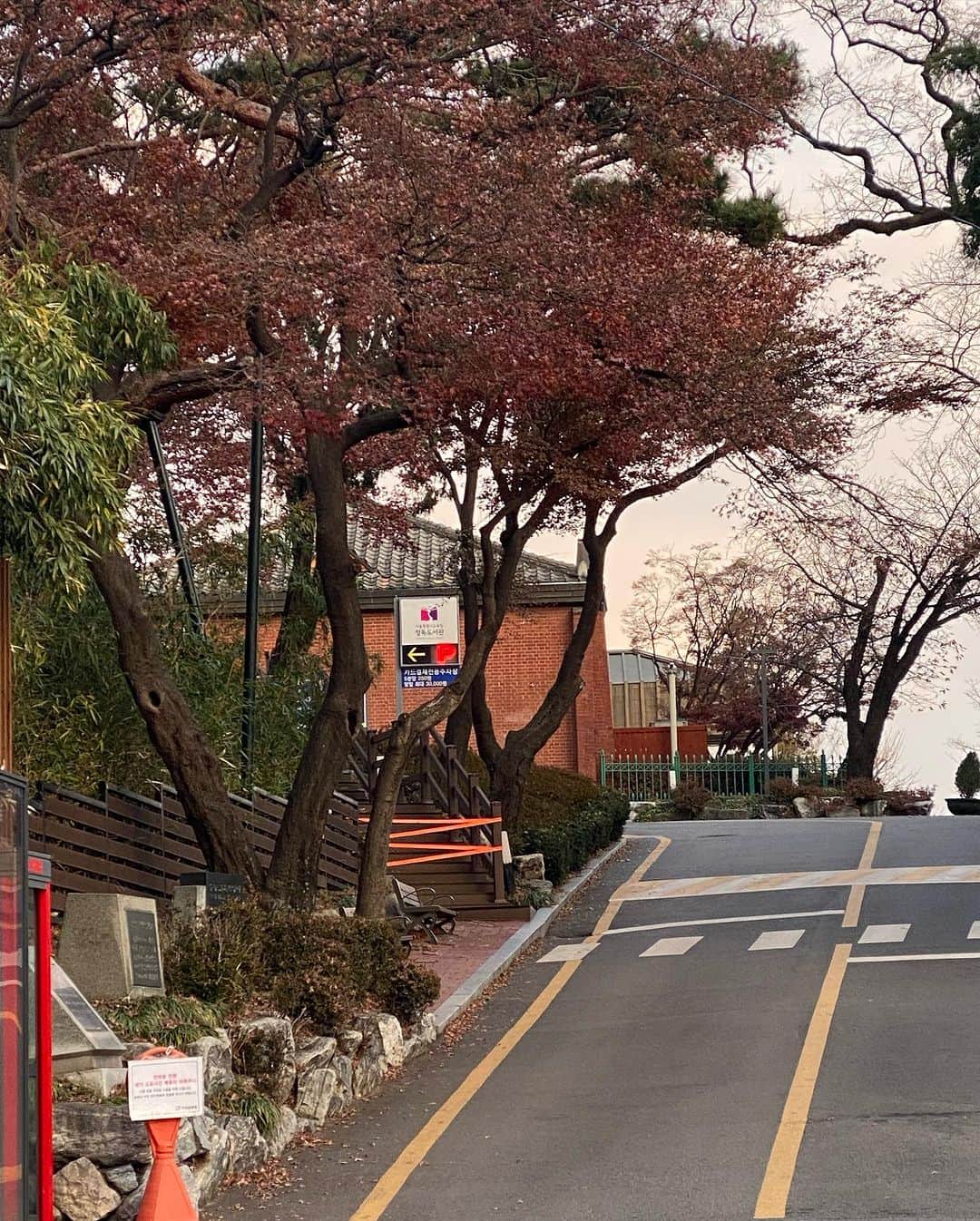 中村侑里さんのインスタグラム写真 - (中村侑里Instagram)「歩いてるだけで、楽しい街🇰🇷」12月7日 18時10分 - moo___pii