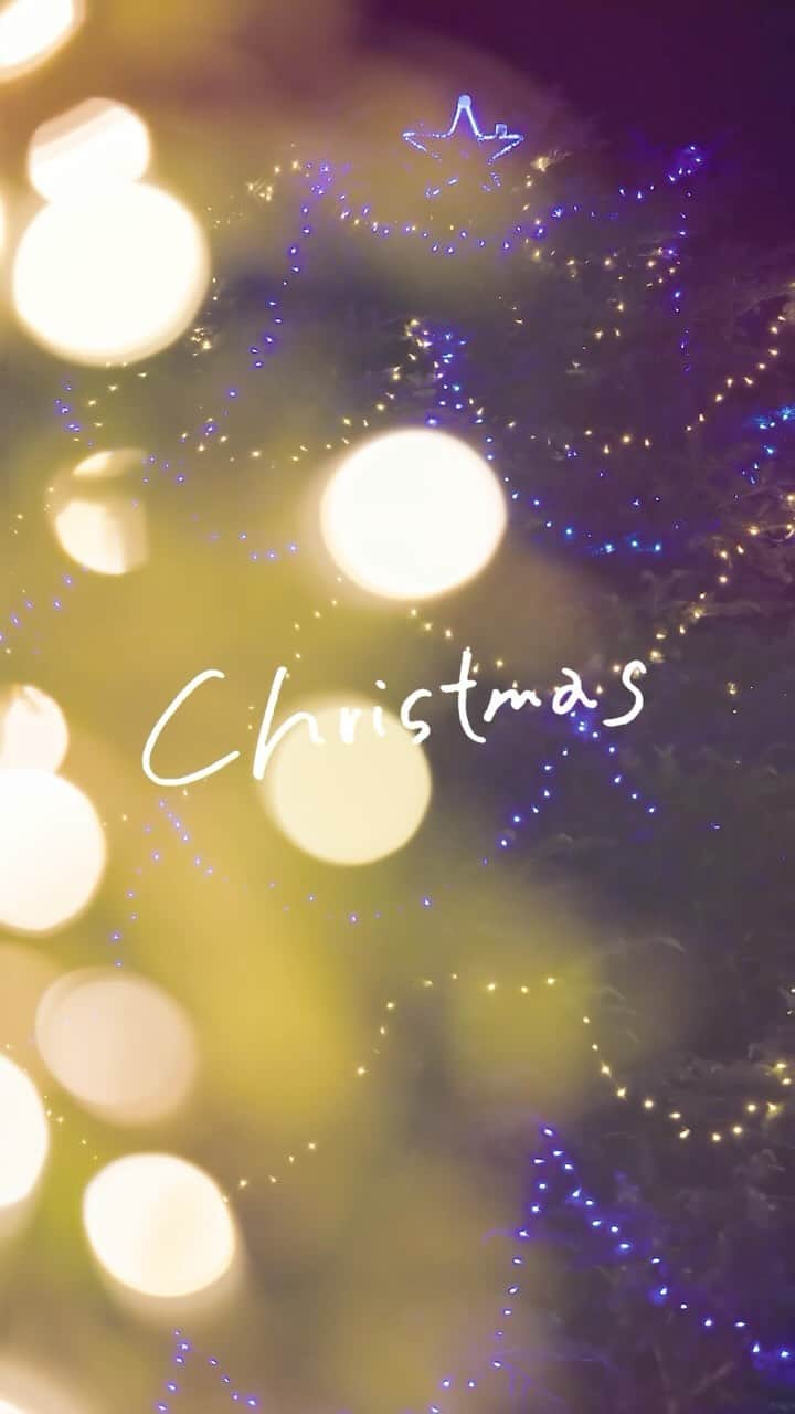Meiji Gakuin/明治学院大学/明学のインスタグラム：「＼🎄 #明学のクリスマス 🎄／ 動画でクリスマスをお届けします💫  いよいよクリスマスシーズン本番🧣  今年の明学のクリスマスはこんな感じ🧤 すてきなクリスマスになりますように。  #明学 #明治学院 #明治学院大学 #白金キャンパス #白金 #横浜キャンパス #横浜 #戸塚 #クリスマス #クリスマスツリー #明学 #明治学院 #明学人 #勉強 #大学 #授業 #明学生 #メイガク #明学ライフ #大学生活 #春から明学 #春から明学2024 #mgu #meijigakuinuniversity #meijigakuin #meigaku #photography #photographer」