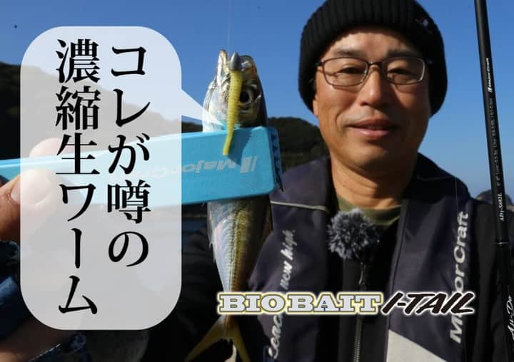 LureNews.TVのインスタグラム：「集魚効果ゲキ高です・手にニオイ付きません・環境に優しいです・水で保存可能です。【バイオベイト アイテール】  https://lurenewsr.com/291865/  #バイオベイトアイテール #バイオベイト #アイテール2インチ #アジング #生分解性ワーム #ルアーニュース」