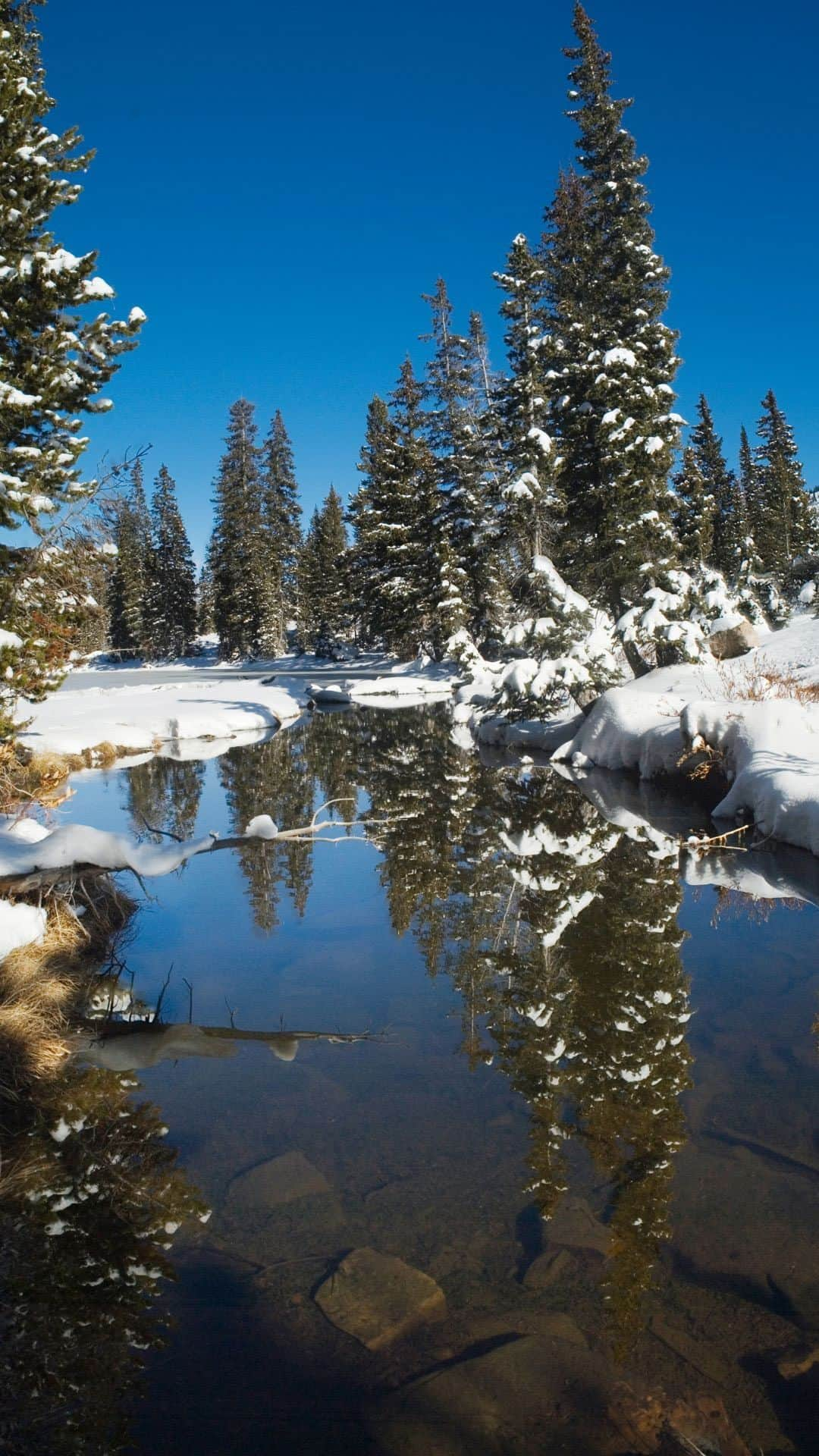 Discoveryのインスタグラム：「❄️ Early winter in Uinta Mountains 12,000 years ago mammoth hunters roamed the Uinta National Forest leaving behind remains of large Ice-Age mammals in Utah valley. Historic sites are found throughout Utah, see if you can spot some tonight on Mystery at #BlindFrogRanch 10p ET/PT.」