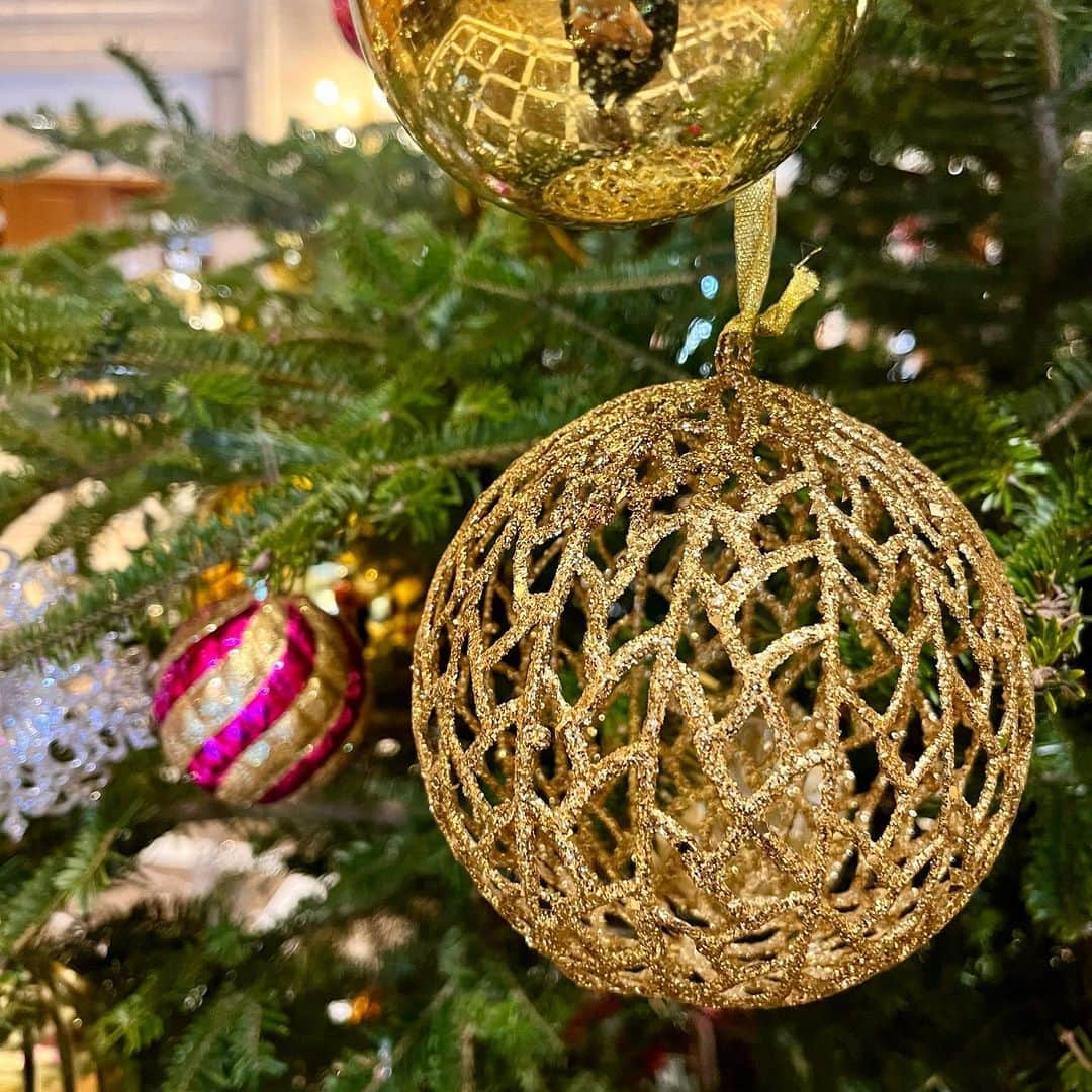 【公式】ホテルニューグランドさんのインスタグラム写真 - (【公式】ホテルニューグランドInstagram)「＊ 12/7はクリスマスツリーの日🎄   タワー館のロビーでは25日までの間、 今年のホリデーシーズンのテーマ「Cheers！」をイメージした シャンパンカラーのオーナメントを 本物のもみの木に飾ったクリスマスツリーで 皆様をお迎えします🎄✨   #ホテルニューグランド #横浜 #横浜ホテル #クラシックホテル #クリスマス #クリスマスツリーの日 #クリスマスツリー #クリスマスプレゼント #冬 #フォトスポット #クリスマス限定 #今月のロビー #ロビー装花 #ホテルロビー #12月 #hotelnewgrand #yokohama #Christmas #Cheers #holidayseason」12月7日 11時34分 - hotelnewgrand