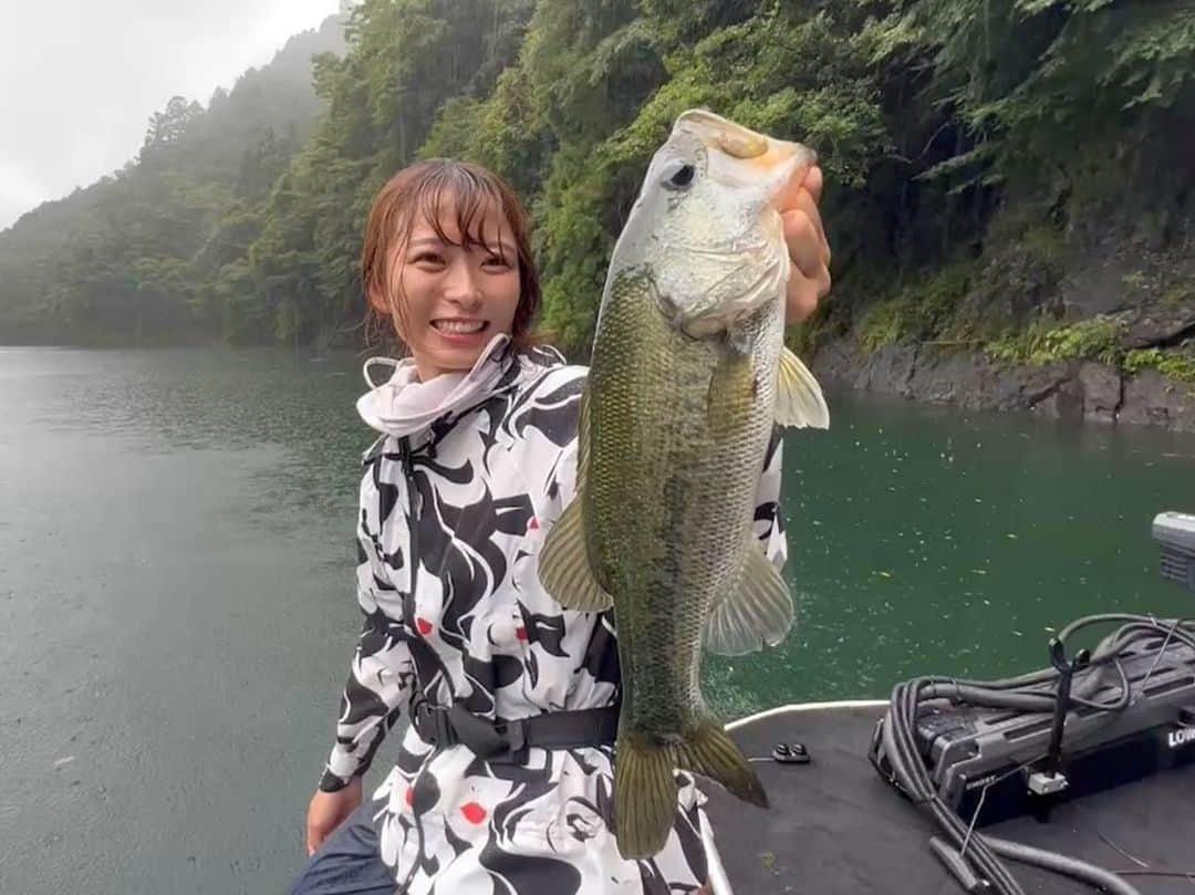 高本采実さんのインスタグラム写真 - (高本采実Instagram)「🎣 8月ラストの池原ダム！  終始雨模様でしたが数とサイズはえぇ感じでした。 最近得意になりつつある(?)ネコリグをメインに次々とキャッチ！ フッキング決まった後のファイト動画をお楽しみください(笑)  山の空気も気持ちいい！⛰️ みんな、奥深くておもしろいバス釣りはええぞ〜！  🎣 ホワイトリバー @white_river_ikehara   . . . .  #ブラックバス #バスボート #blackbass #bassfishing #バス釣り #池原ダム #ホワイトリバー #滝 #バス釣り修行中 #釣り動画 #ドラグ音 #大物ハンター #アングラー #fishinggirl #钓鱼 #高本采実 #あやみん #ayamistagram」12月7日 18時20分 - ayami__summer