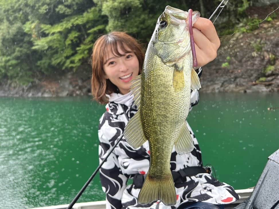 高本采実さんのインスタグラム写真 - (高本采実Instagram)「🎣 8月ラストの池原ダム！  終始雨模様でしたが数とサイズはえぇ感じでした。 最近得意になりつつある(?)ネコリグをメインに次々とキャッチ！ フッキング決まった後のファイト動画をお楽しみください(笑)  山の空気も気持ちいい！⛰️ みんな、奥深くておもしろいバス釣りはええぞ〜！  🎣 ホワイトリバー @white_river_ikehara   . . . .  #ブラックバス #バスボート #blackbass #bassfishing #バス釣り #池原ダム #ホワイトリバー #滝 #バス釣り修行中 #釣り動画 #ドラグ音 #大物ハンター #アングラー #fishinggirl #钓鱼 #高本采実 #あやみん #ayamistagram」12月7日 18時20分 - ayami__summer