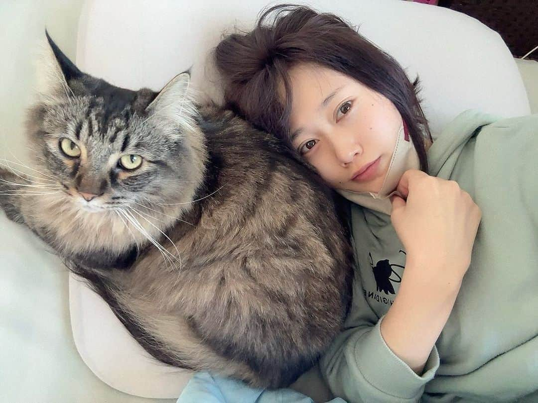 釘町みやびのインスタグラム：「🐈‍⬛  おはようございます！ 今日はお昼まで寝ると決めた日です◎  でも朝起きて日が入るように(=犬用ソファーに日が当たる) カーテンも窓も全開(=猫が窓辺で風も感じれる)なので くっっそ寒いんですよ🍃笑  それで結局寝れないけどお布団でゴロゴロしてたんですが 途中から首元が少しだけあたたかくて なんでだろって後ろ振り返ったら... 猫さんが...猫さんが...後頭部を温めてくれてたわけです🥲  そっと寝返りして背中に顔をもふってみたら もっとあったかくて...最高でした...あぁ...🥲💗💗💗  そのままずっと居てくれてたので、写真を撮らせて頂き しあわせに浸っていたら犬ちゃんも来てくれて 2倍であたたかくなったというノロケ話でした👏🏻💗💗  しあわせはっぴーです☺️💗💗💗  あ、お昼過ぎたのでそろそろ起きねば！！！☀️  ． ．  #猫  #猫のいる暮らし  #ねこすたぐらむ  #メインクーン  #犬  #犬のいる暮らし  #いぬすたぐらむ  #トイプードル  #多頭飼い  #多頭飼いの幸せ  #犬と猫のいる暮らし  #幸せ  #catsofinstagram  #dogsofinstagram  #dogandcat」