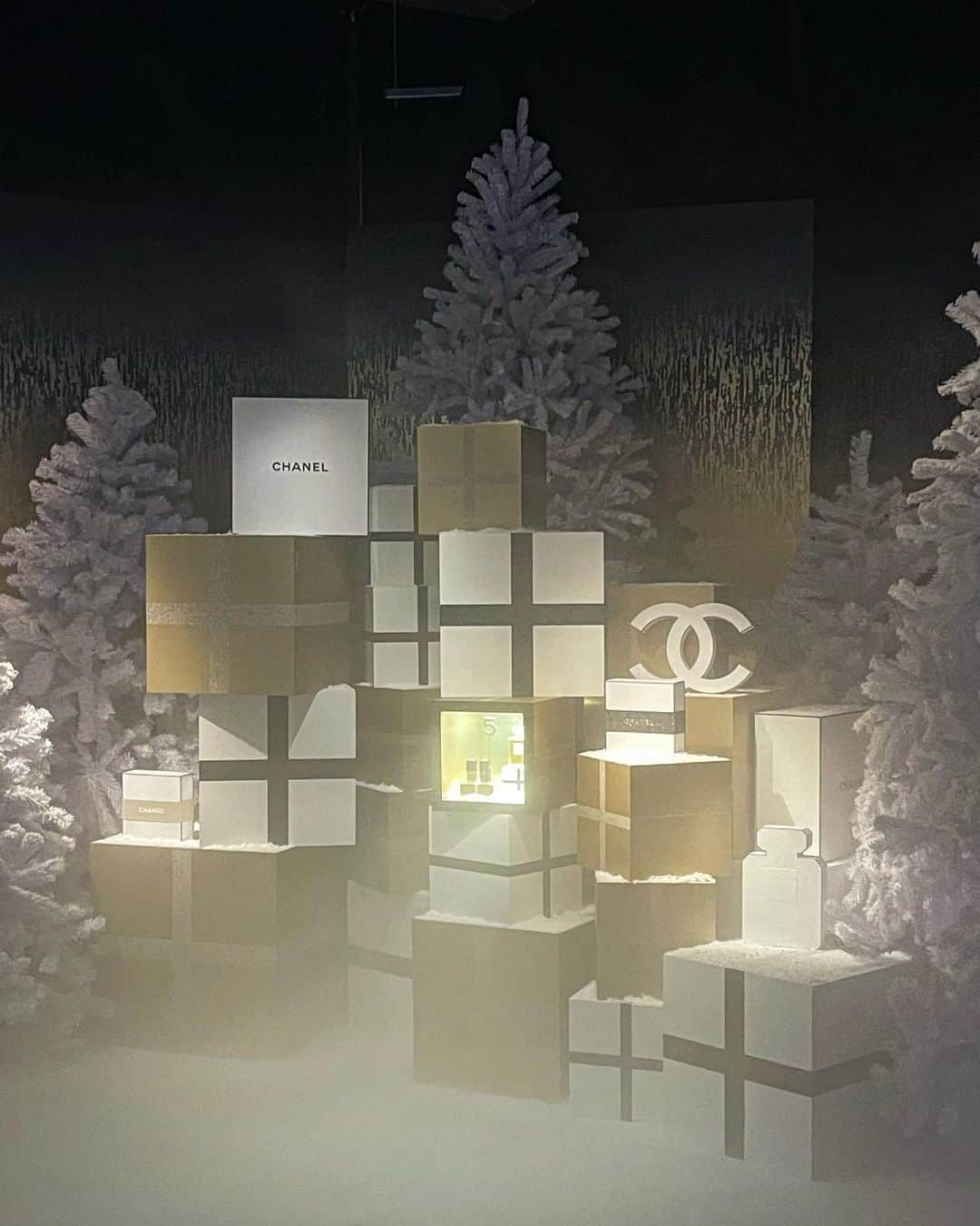 大屋夏南さんのインスタグラム写真 - (大屋夏南Instagram)「CHANEL WONDERLAND 💫 シャネルのホリデー イベント“CHANEL WONDERLAND”に招待して頂いて遊びに行ってきました🎄 会場には仕掛けがたくさんあったり、タロットや手品もあって楽しかったな😌🎁  #PR #CHANEL #CHANELHoliday #シャネルホリデー #CHANELWonderland」12月7日 12時00分 - __kana_oya__