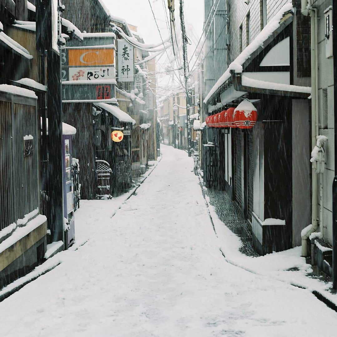 SOU・SOUさんのインスタグラム写真 - (SOU・SOUInstagram)「皆さま、こんにちは。台湾出身の荘です。  今日は二十四節気の大雪です。これから冬将軍が到来し山間部だけでなく、平地でも雪が積もり始める頃ですが、今年の冬は暖かいとのこと。京都で雪が見られるのも、もう少し先のようですね。  私の故郷は南国の台湾ですので、日本の雪一面銀世界の光景にとても憧れています。何回雪を見ても初めて見るような新鮮さがあり気持ちが高ぶるのを感じます。  日本中のスキー場が営業を開始し、日本の人々は「正月事始め」である新年を迎える準備を始めます。街中も師走本番、年末の空気が漂いはじめます。  大雪の節気、京都の雪景色はまだですが、街に漂う冬の味わいは春への期待も高まるでしょう。 （荘）  ■大雪の初候、次候、末候 二十四節気をさらに約5日ずつの3つに分けた期間のことは七十二候。  初候、閉塞成冬（そらさむくふゆとなる） 空気が止まったかのように、空には雲が多く、暗くグレーの色合いになっています。 動物たちは冬眠しており、大地は静寂に包まれている。  次候、熊蟄穴（くまあなにこもる） 野生の熊は、この時期に冬眠の準備のために穴に入り、翌年の春まで穴にこもる。 他にも、リスやカエル、コウモリなども冬眠する習性があります。  末候、鱖魚群（さけのうおむらがる） この時期は、サケが産卵のために川を遡上する時期です。 海に住んでいるサケは、産卵の際に生まれた川に戻ってきます。サケの群れが上流に向かって泳ぐ壮観な光景は、北国の冬の風物詩のひとつです。  ■テキスタイルデザイン「大雪」 山の峰が雪におおわれ 平地も北風が吹き いよいよこれから冬将軍到来の季節。 今年はどんな冬になるのだろうか。 しかし冬は寒く夏は暑いのがいい。 雪が降って暗く寒い冬には 冬独特の情緒や楽しみがある。 そして春を迎える喜びもわく。 四季それぞれ変化のあることが 生きていくことをどれほど豊かに してくれることか。 （脇阪　克二）  #sousou #sousoustyle #sousoukyoto #テキスタイル #テキスタイルデザイン #京都 #日本 #冬 #雪 #大雪 #冬眠 #積雪 #12月 #師走 #二十四節気 #七十二候 #風物詩 #日本の暦 #京都旅# #暮らしを楽しむ #日々の暮らし #そうだ京都行こう #京都散策 #京都観光」12月7日 12時00分 - sousoukyoto