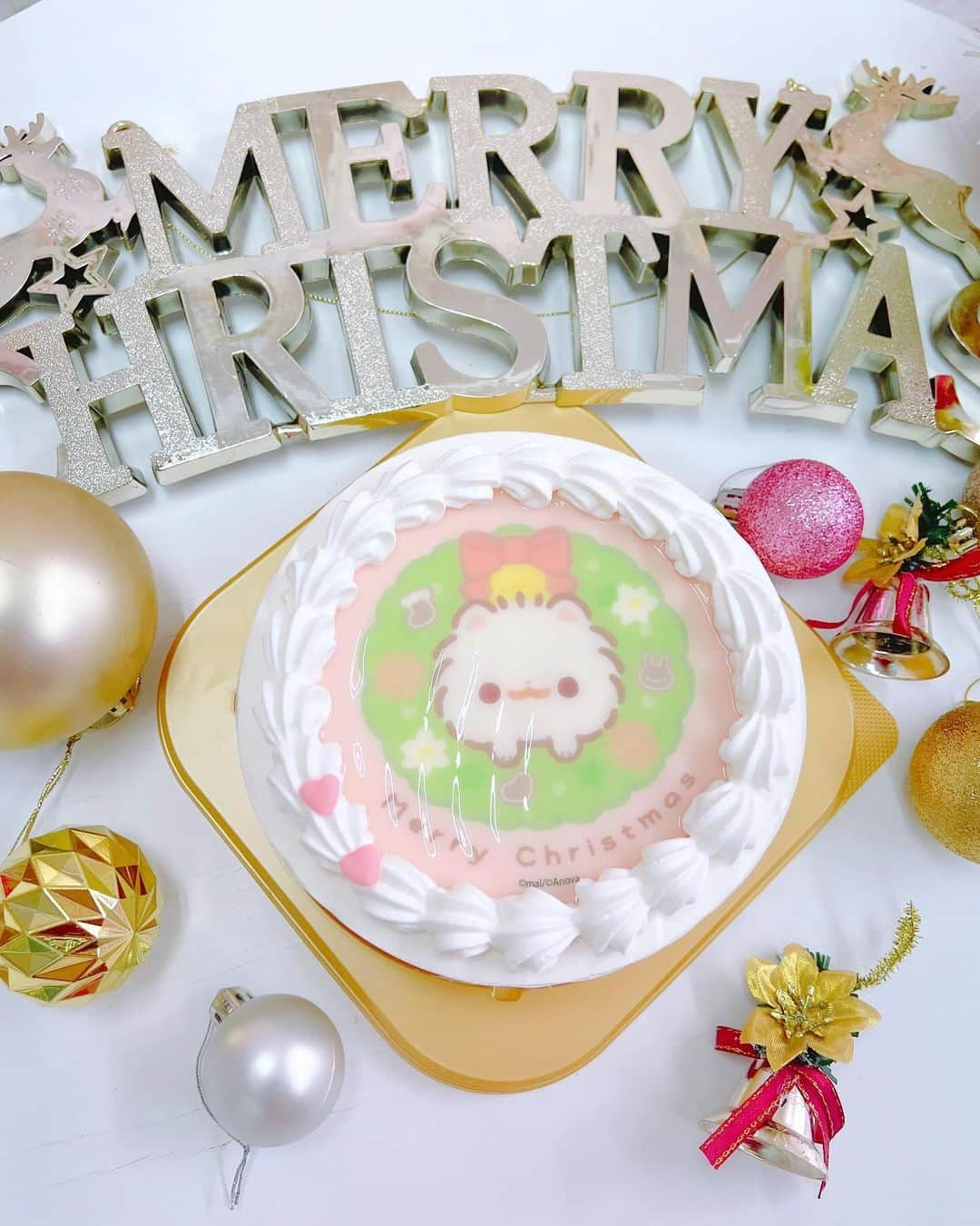 あいにゃんのインスタグラム：「大好きなもちのクリスマスケーキᐡ｡• ·̫ •｡ᐡ♡ * * #クリスマス #クリスマスケーキ予約 #クリスマスケーキ #クリスマスパーティー #ポメラニアンもち #インスタ映えスイーツ #スイーツテロ #推し #推し活 #推しのいる生活 #christmas #christmascake #christmastime #cake #sweets #instapic #followｍe」