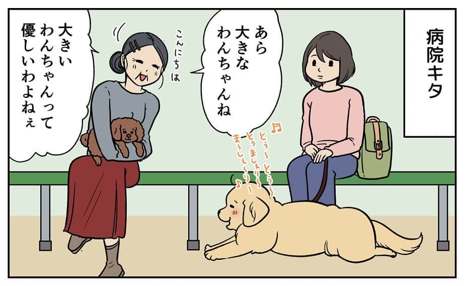 餅付きなこさんのインスタグラム写真 - (餅付きなこInstagram)「大型犬を連れていると、よくこのように声をかけていただくことがあります。  アーティと一緒に暮らしていた時は、特に晩年はこう言っていただくことが多くて、もちろん好意的にとらえてとてもありがたく思っていました☺️♡  でもこのまんがの当時は、アイビーがまだまだパピー感いっぱいのハイパー暴れん坊のしかも反抗期な時で、病院でも大暴れのヘトヘトになっていた時だったので、優しさ…？という言葉にちょっとゲシュタルト崩壊的な感覚に襲われたのでした⭐️  今ではあの頃より多少なりとも落ち着いたアイビー。 毎日いっぱいの優しさ可愛さをもらっています♡  まぁ大きいか小さいかに関わらず、わんこはみんな優しさで溢れてますよね☺️」12月8日 20時00分 - kinakomochitsuki