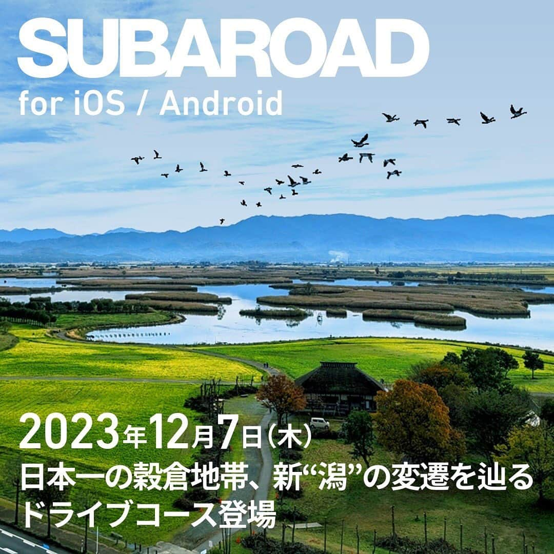 株式会社SUBARUのインスタグラム：「. ／ #SUBAROAD 新潟コースをリリース ＼  #新潟スバル のメンバーが作ったコースが完成しました！  新潟市にある「道の駅 豊栄」がスタート地点です。ここは、”道の駅発祥の地”とも呼ばれている歴史ある場所なんですよ！食堂では新潟米の美味しいおにぎりなどもあり、腹ごしらえしてからスタートするのもおすすめです。  自称”日本一まずい温泉”を飲泉できる月岡温泉をとおり、国道459号線を走り抜け、「菱潟大橋ポケットパーク」がゴール。新潟県の豊かな土壌が生まれた背景にある阿賀野川沿いを走りながら、歴史の息吹に触れるリバードライブです。  ぜひ一緒に走りに行きましょう！  #SUBARU #スバル #SUBAROAD #スバロード #新潟スバル」