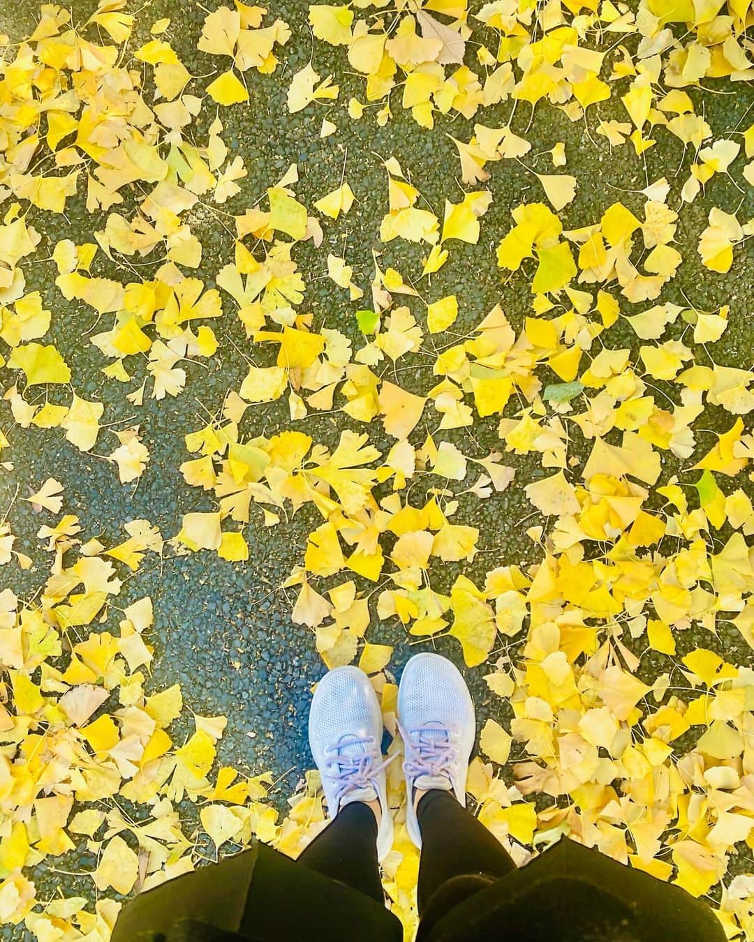 今泉マヤさんのインスタグラム写真 - (今泉マヤInstagram)「歩いたあとのコーヒーゼリー💞  秋のかけらを拾いあつめる。。 お散歩日和のトーキョーでした🗼」12月7日 15時38分 - maya.imaizumi
