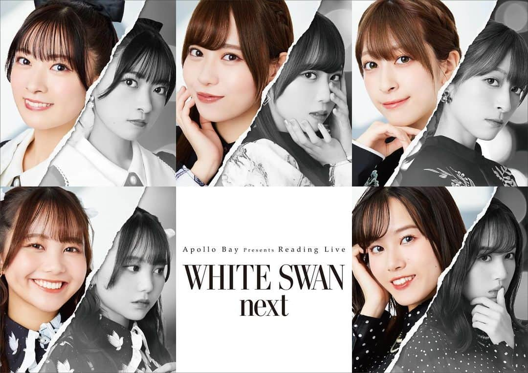 伊達さゆりのインスタグラム：「♪  Apollo Bay Presents Reading Live 「WHITE SWAN next」🦢 の開催が決定いたしました🙇‍♀️✨  2024年2/27(火)〜28(水) 科学技術館サイエンスホ－ル にて開催されます！！  事務所のみんなと、 １つの作品を作り上げていけることが 今からとても楽しみです🙌🏻 お待ちしておりますっ！  キービジュアルが白黒なのも気になる！  #スワネク」