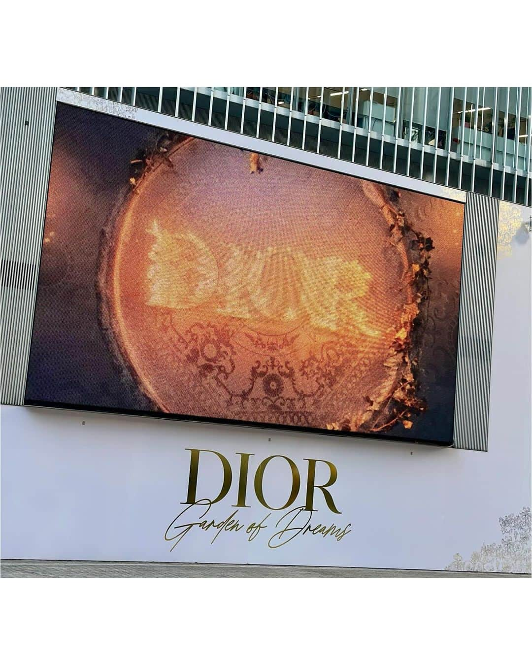 神戸麻衣さんのインスタグラム写真 - (神戸麻衣Instagram)「【DIOR-Garden of Dreams】  #dior #cristiandior」12月7日 16時41分 - mai_g916