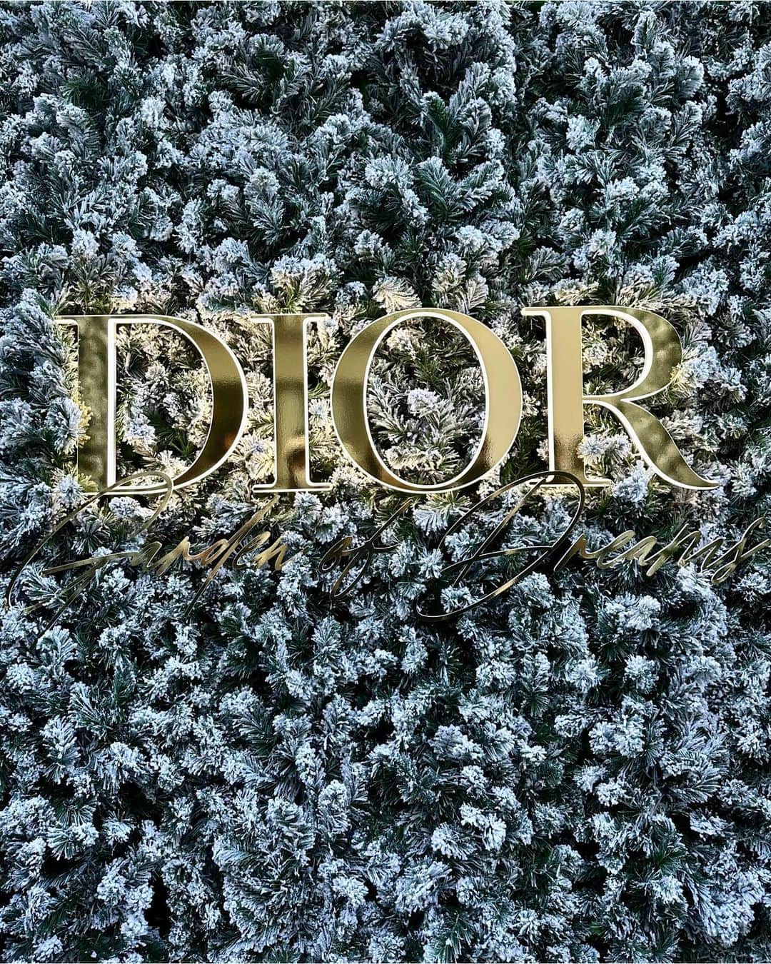 神戸麻衣さんのインスタグラム写真 - (神戸麻衣Instagram)「【DIOR-Garden of Dreams】  #dior #cristiandior」12月7日 16時41分 - mai_g916