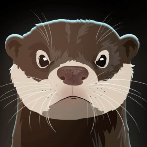 スミソニアン国立動物園のインスタグラム：「🦦🦦 North American river otters are popping up in places they haven't been seen in decades, and nobody really knows why. The Zoo's assistant curator of the American Trail Rebecca Sturniolo weighed in on this furry phenomenon on the latest episode of the @Smithsonian #SideDoorPodcast - listen using the link in our bio or wherever you get your podcasts. 🎙️ 📻   Image description: illustration of a serious-looking North American river otter.」