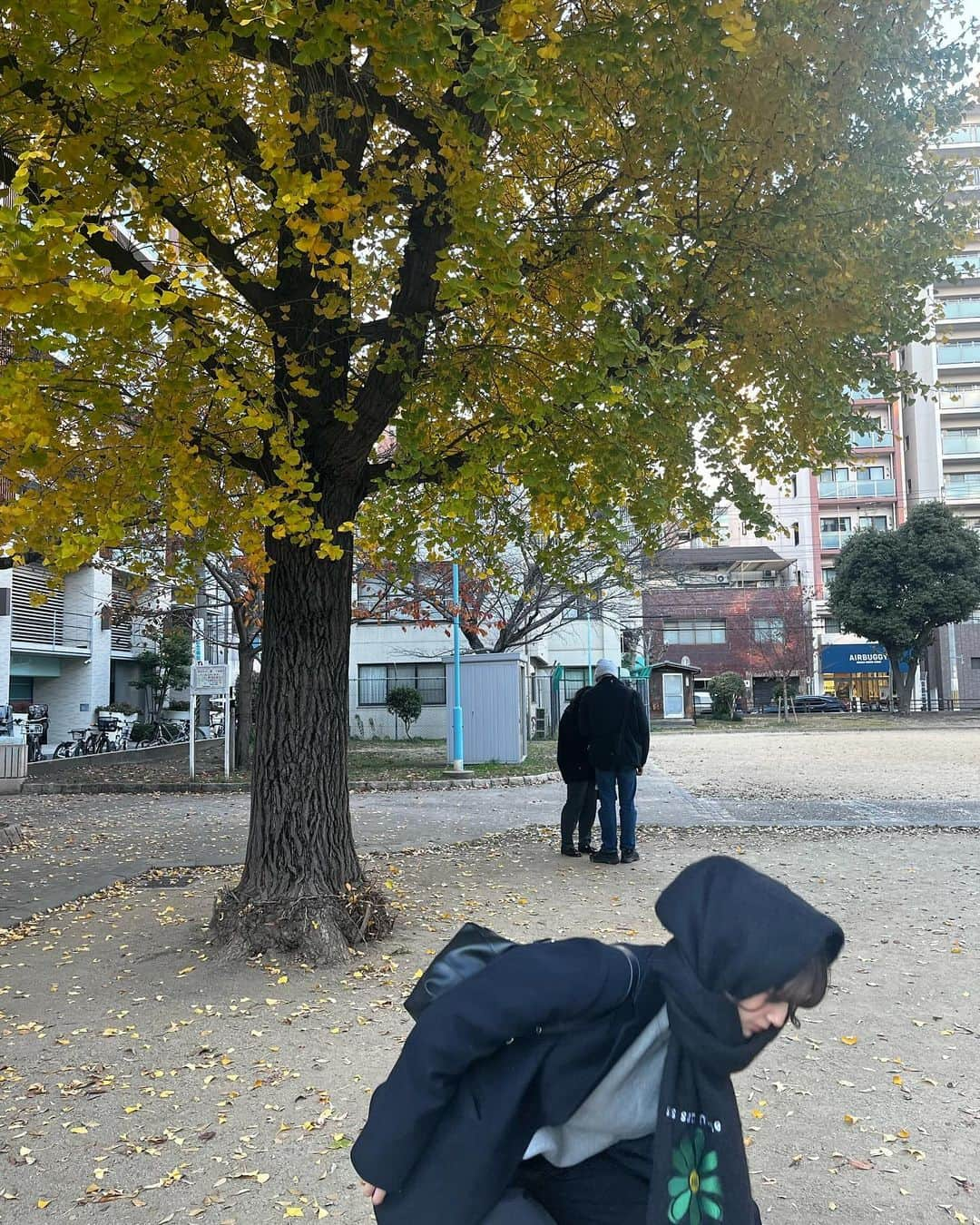 青井乃乃さんのインスタグラム写真 - (青井乃乃Instagram)「公園に行ったら銀杏がまだまだ綺麗だったよ~🍁 東京にある銀杏並木にもいつか行きたい😭  この日つけてたマフラーは @ssssattimouse  さんのでお花のマークが可愛い🫢💞~ 暖かくて最高👍🏻  何枚目かの写真はサングラスを落として必死に拾おうとしてるの笑 何枚目か分かったかな？😹笑  #青井乃乃」12月7日 18時46分 - no.17_11