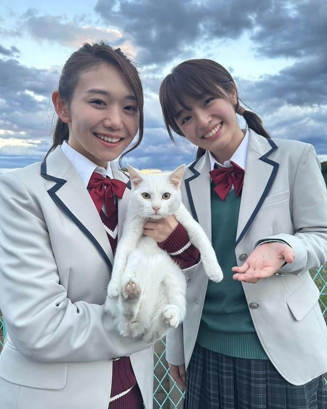 シンドラ公式のインスタグラム：「🐈🐈🐈  #君が死ぬまであと100日 第8話12/11(月)24:59〜🐬  うみ(#豊嶋花)とみのり(#咲耶)と猫さん🐈📷  この日は8話の ある大変なシーンの撮影だったのですが 猫さんに癒されながら乗り切りました💪🔥  7話はTVerで配信中❄️ http://bit.ly/deep-kimi100  #髙橋優斗 #戸塚純貴 #井上瑞稀 #君100  #シンドラ」