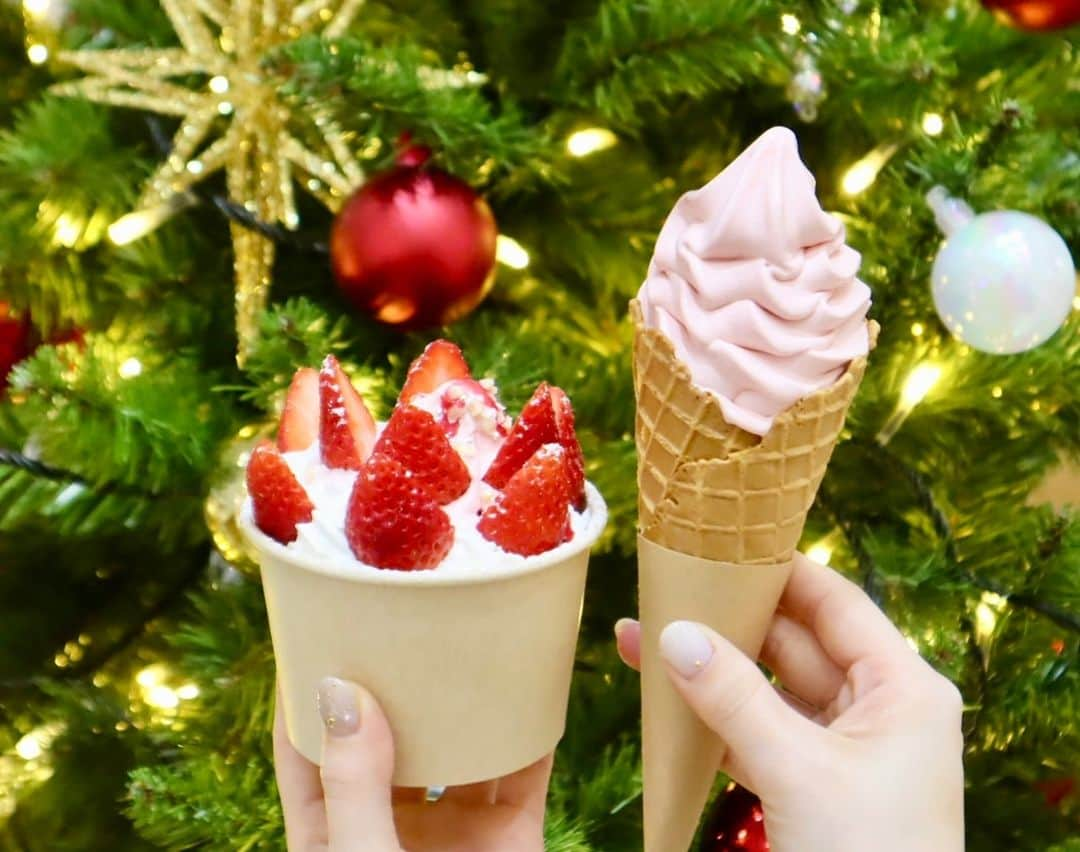 LECT レクトさんのインスタグラム写真 - (LECT レクトInstagram)「CHRISTMAS MENU .  1Fチチヤスでは新商品「クリスマスパフェ」「あまおういちごソフトクリーム」が登場！ . パフェはイチゴをふんだんに使い、さっぱりとした味わいのソフトクリームの下にはコーンフレークがザクザクと入っていてとっても美味しいですよ🍓 あまおういちごソフトクリームはいちごの味わいがしっかりと感じられます！パフェはボリュームがあるのでシェアして食べてみるのもいいですね。 . #lect #レクト #chichiyasu #チチヤス #チー坊 #イチゴ #クリスマス #パフェ #イチゴパフェ #広島スイーツ #広島グルメ #フードコート #広島市 #広島」12月7日 18時20分 - lect_hiroshima