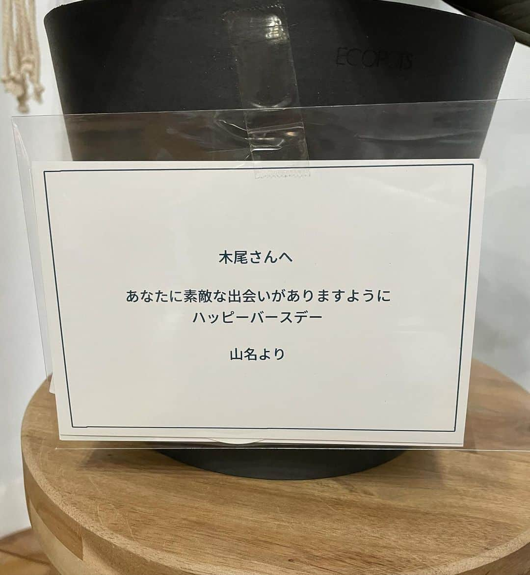 木尾陽平さんのインスタグラム写真 - (木尾陽平Instagram)「山名さんから突然の。  素敵な植物まじ感謝感激 メッセージまじ南無阿弥  出会いの男向けの植物だって 花言葉『永遠の幸せ・すこやか』  今の僕にはぴったり 家の棚にもぴったり  一緒に元気に過ごそうね。  山名さんありがとうございます！   #誕生日11月13日」12月7日 19時08分 - ykio1113