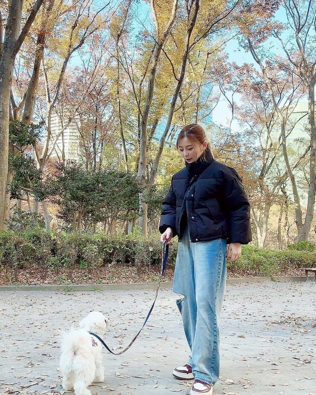 こなんさんのインスタグラム写真 - (こなんInstagram)「. . 天気良くて風が無い日が大好き🍂 韓国が寒すぎたせいか 日本の気温最高だね〜  今日のダウン軽いのに暖かくて 最近散歩する時いつも着てる 🔍ショート丈ダウンジャケット （ブラック/160cm） @__ada.official__  #ada.#エイダ#エイダコーデ#タイアップ#ZOZO#ZOZOTOWN#ZOZOTOWN購入品#ダウン#ショートダウン#160cm#韓国ファッション」12月7日 19時31分 - konan_610