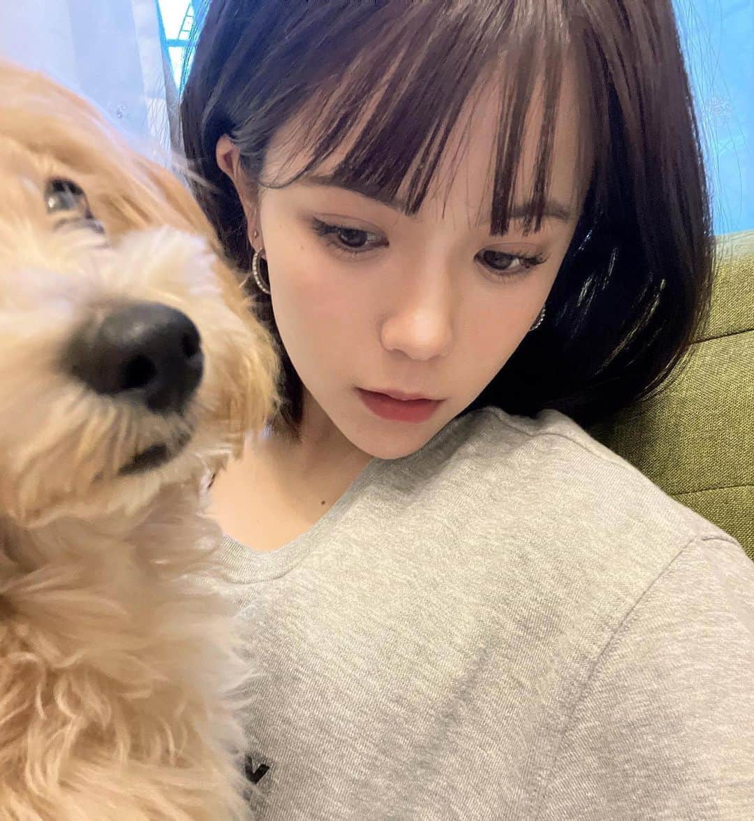 村山優香のインスタグラム：「このあと20:00〜 ファンクラブ優先で クリスマスイベント チケット先行販売開始します！  URLはストーリーに貼るね💭🎄.*」