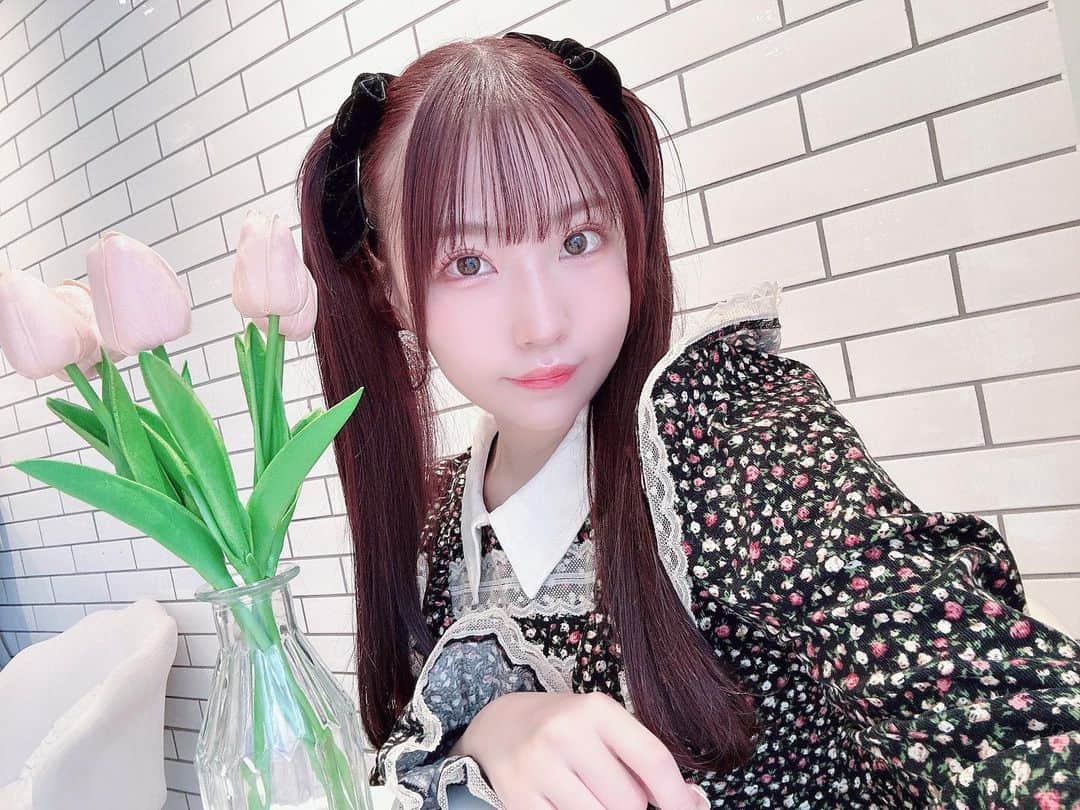 城崎ひまりさんのインスタグラム写真 - (城崎ひまりInstagram)「カフェ巡りしてて気に入ったとこは何回も行っちゃう🐰 髪色ピンクっぽく染めたの分かりやすいかな？💕 . . . . . #カフェ#cafe#カフェ活#カフェ巡り#カフェランチ#カフェ部#映えカフェ#可愛いカフェ#カフェ好きな人と繋がりたい#映えスイーツ#韓国カフェ#アイドル#idol#MILK#フレンチガーリー#ツインテール#ヘアアレンジ#フレンチガーリーコーデ#lolita#girl#ガーリー#スイーツ#スイーツ部#甘党#可愛い#可愛い女の子#ピンク#東京#kawaii#kawaiigirl」12月7日 19時44分 - shirosakihimari