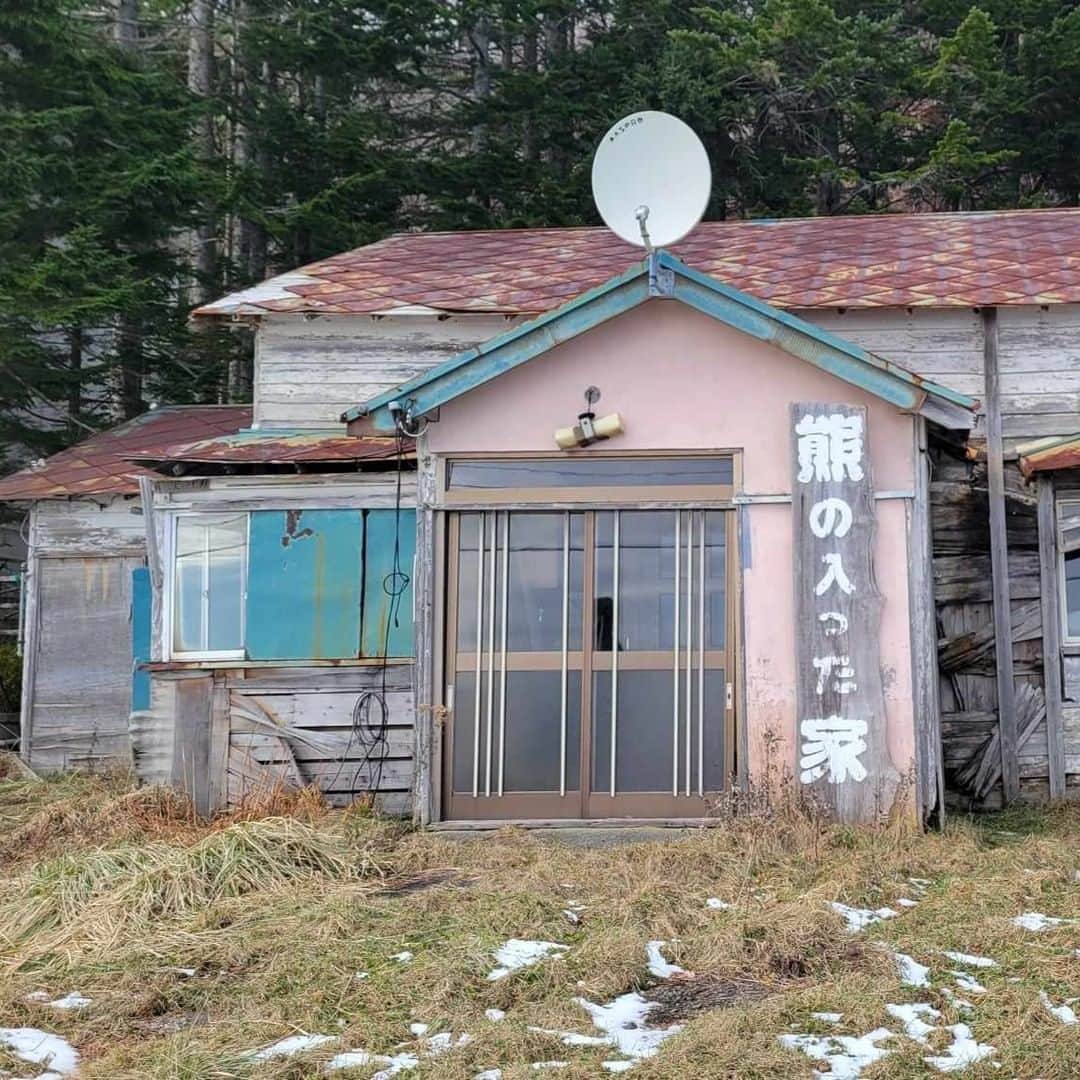 小野友葵子さんのインスタグラム写真 - (小野友葵子Instagram)「【熊の入った家】  羅臼には、『熊の入った家』という民宿やライダーハウス、キャンプ場などがある施設がありますが、   その中に、 『本当に熊が入った家』という建物があります。🐻🏠   1986年に実際に熊の被害にあった当時の家。  家に侵入したヒグマは台所を荒らし、冷蔵庫を開け、食料はもちろんのこと、ジュースの缶、お酒の一升瓶は空っぽに。。  ジュースの缶に爪の穴が開いていたことと、周囲にはこぼれた様子がなかったことから、ジュースは缶のまま、お酒は一升瓶のままラッパ飲みをしたと考えられています。  約1時間滞在して、家の中を荒らされたそうですが、この家の住人の方々は無事だったそうです。  その騒動を逆手に、『熊の入った家』として、民宿経営と当時の生々しい写真や新聞記事、冷蔵庫の展示も行なっているところです。  中は店主の許可がないと入れないため、外観で写真を撮ってきました。  中標津でもたくさんのクマの目撃情報があり、父や父の知り合いも見たと言っていました。💦  クマって、とっても頭がよく執着心も恐ろしいほど強いんですよね。  今は全国で熊の目撃情報や被害情報があるので、皆様もお気をつけくださいね。  ｡.｡:+* ﾟ ゜ﾟ *+:｡.｡:+* ﾟ ゜ﾟ *+:｡.｡ 🎵2023/12/12（火）15:00 酵素クレープ専門店クレープアリサ東京 https://ameblo.jp/onoyukiko/entry-12829703660.html  📻2023/12/16（土） 動画配信型ラジオレギュラー冠番組 『小野友葵子のBella Serata‼』 第1、第3土曜日 21：00～21：50生放送中 https://ameblo.jp/onoyukiko/entry-12831051554.html  🎵2023/12/17（日）19:00 STUDIO VIRTUOSI https://ameblo.jp/onoyukiko/entry-12829587014.html  🎵2023/12/24（日）13:00 たいこ茶屋 https://ameblo.jp/onoyukiko/entry-12829073861.html  🎵2024/1/14（日）12:00 六本木ヒルズクラブ https://ameblo.jp/onoyukiko/entry-12828877461.html  💿小野友葵子コラボ参加CD発売中！ https://ameblo.jp/onoyukiko/entry-12800332342.html  🎼小野友葵子プロデュース若手オペラ歌手グループ『I BOCCIOLI』メンバー募集中！ https://ameblo.jp/onoyukiko/entry-12800609513.html ｡.｡:+* ﾟ ゜ﾟ *+:｡.｡:+* ﾟ ゜ﾟ *+:｡.｡ 🌹HP https://www.onoyukiko.com/ 🌹ブログ http://ameblo.jp/onoyukiko 🌹Instagram（yukikoonosoprano） https://www.instagram.com/yukikoonosoprano/ 🌹Twitter https://twitter.com/yukiko_ono 🌹YouTube（YukikoOno小野友葵子） https://www.youtube.com/user/VitaRoseaYukikoOno 🌹小野友葵子のコンサートってどんな感じ？ https://youtu.be/bWges5LlLnw ｡.｡:+* ﾟ ゜ﾟ *+:｡.｡:+* ﾟ ゜ﾟ *+:｡.｡  #羅臼 #羅臼町 #熊の入った家 #本当に熊が入った家 #実話 #鹿又政義 #民宿 #クマ被害 #クマの目撃情報 #ラッパ飲み #ソプラノ歌手 #オペラ歌手 #オペラ #錦戸部屋女将 #バラ好き #パンダ好き #ミラノ #イタリア #ラジオパーソナリティー #プロデューサー #若手アーティスト支援 #デビュー15周年」12月7日 20時26分 - yukikoonosoprano
