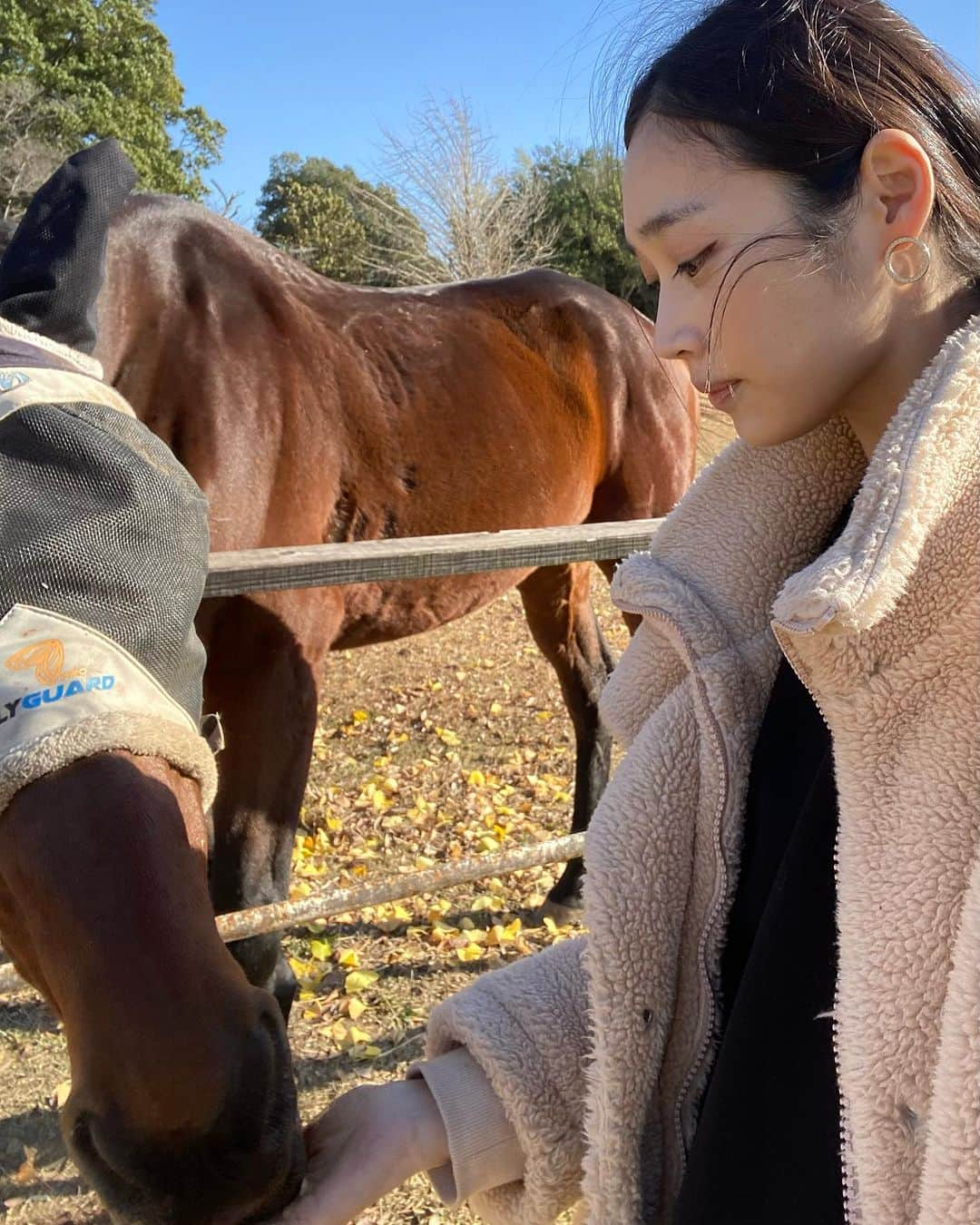 林田岬優のインスタグラム：「🐴🤍🤍 乗ってる時の馬とのコミュニケーション、バランス、全て自分で感じていかないとうまくならないから、楽しいです😊今日は風が強かったけれど、馬は風が強い方が集中しやすいみたいです。先生は、速歩から駈歩にならないか心配していましたが大丈夫でした😂また近いうちに美味しい🍎と🥕持って会いに行こう🐴。🐶も連れていきたいな。仲良くなれるかな😊 #Libertas #ridinghorse#deepimpact #thoroughbredhorse」