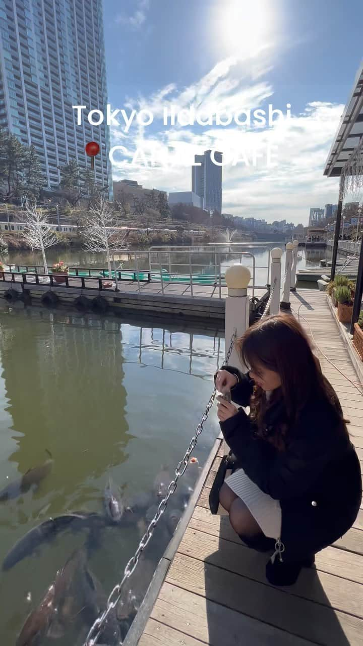 古野みうのインスタグラム：「エサは100円🐟  #鯉にエサやり #canalcafe #カナルカフェ #外濠 #飯田橋 #神楽坂 #飯田橋グルメ #飯田橋カフェ #神楽坂グルメ #神楽坂カフェ #鯉 #古野みう #ホリプロ」