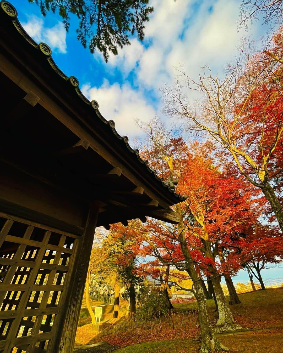 マイケル富岡さんのインスタグラム写真 - (マイケル富岡Instagram)「紅葉×和風景…美しいね日本♡ マイコー ロケ中♪ #beautiful #japan #shooting #location #fall #colors #actor #actorslife #美しい日本 #紅葉 #撮影 #ロケ #旅 #食 #マイケル富岡 #タレント #俳優」12月7日 20時52分 - michaeltomioka