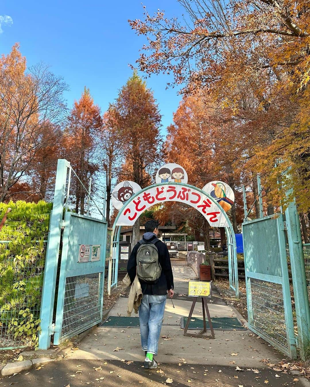 miho uesugiさんのインスタグラム写真 - (miho uesugiInstagram)「12月とは思えないほど暖かい日☀️ 古民家園とこども動物園に行ってきました。 買いたてのインターシャニットジップブルゾン、アウター代わりにもなる🥹有り難い！！  ㅤㅤㅤㅤㅤㅤㅤㅤㅤㅤㅤㅤㅤ  ㅤㅤㅤㅤㅤㅤㅤㅤㅤㅤㅤㅤㅤ #Kastane#Kastane舞浜#Kastane_ootd#骨格ウェーブ#イエベ春#コーディネート#今日のコーデ#コーデ#大人カジュアル#カジュアル#ロングヘア#オン眉#ぱっつん前髪#30代ファッション#30代コーデ#カスタネ#低身長#低身長コーデ#冬#冬コーデ#ニット#カーディガン#カジュアルコーデ#休日#休日の過ごし方#休日コーデ#古民家#公園#散歩#動物園」12月7日 21時05分 - uepoooning