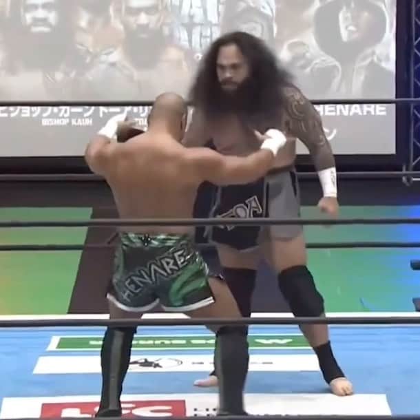 トーア・ヘナーレのインスタグラム：「Māori Bushwhacker? 🌀  Samoan Lion? 🇼🇸  Probably the biggest toughest dude I’ve ever been in the ring with.  Leshgo uso.  #MāoriWrestler #SamoanWrestler #NJPW  #ROH」