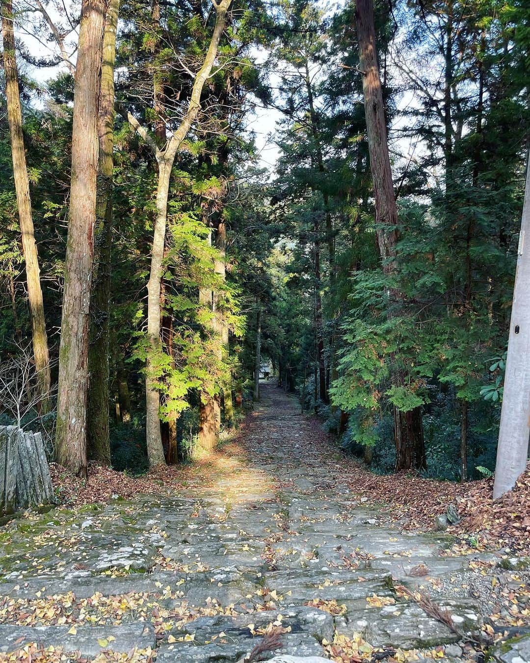 白木夏子さんのインスタグラム写真 - (白木夏子Instagram)「これ以上ないほど美しい里山の風景。 温泉もあり、食事も美味しく最高の滞在でした♨️  #神山 #神山まるごと高専 #徳島 #Tokushima #里山 #日本の美しい風景」12月7日 21時21分 - natsukoshiraki