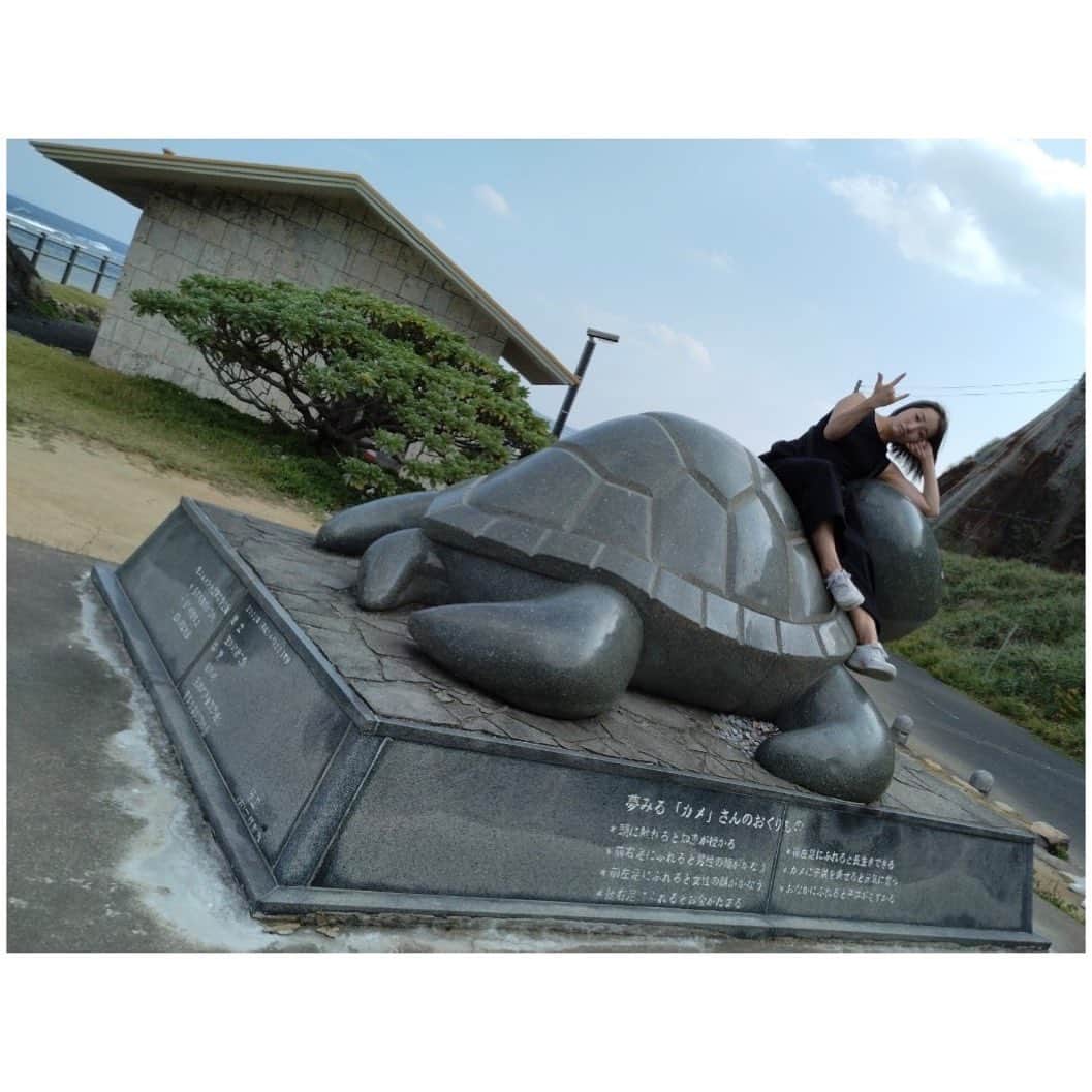 有明ゆなさんのインスタグラム写真 - (有明ゆなInstagram)「亀さん🐢に乗っかった どーしようもない女👩⭐️ . . 奄美大島の思い出📸」12月7日 21時23分 - ariake_yuna