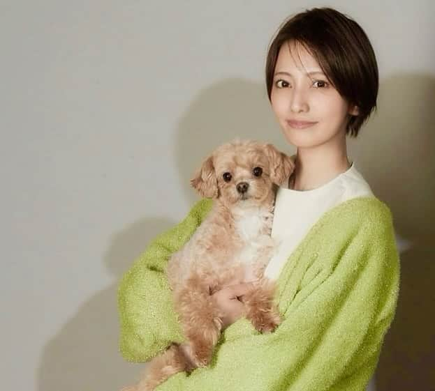 山名裕子さんのインスタグラム写真 - (山名裕子Instagram)「. #dogstagram  #maltipoo #マルプー #6歳女の子」12月7日 21時31分 - yukoyamana