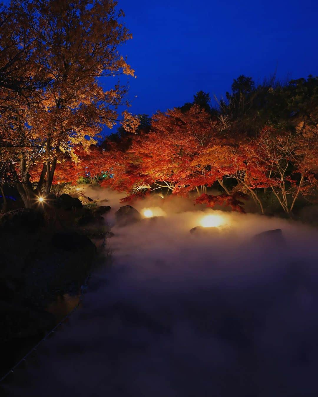 安田慎一さんのインスタグラム写真 - (安田慎一Instagram)「紅葉🍁2023🍁  #studioshin」12月7日 21時54分 - shinichiyasuda