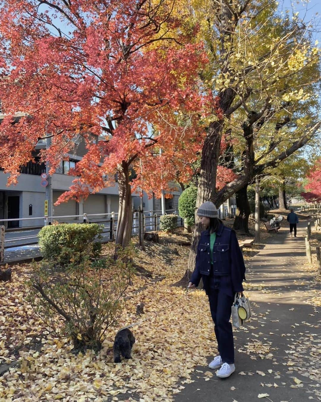 植村麻由さんのインスタグラム写真 - (植村麻由Instagram)「🍂🍁」12月7日 22時09分 - oeufmayu