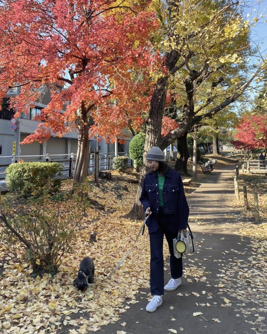 植村麻由さんのインスタグラム写真 - (植村麻由Instagram)「🍂🍁」12月7日 22時09分 - oeufmayu